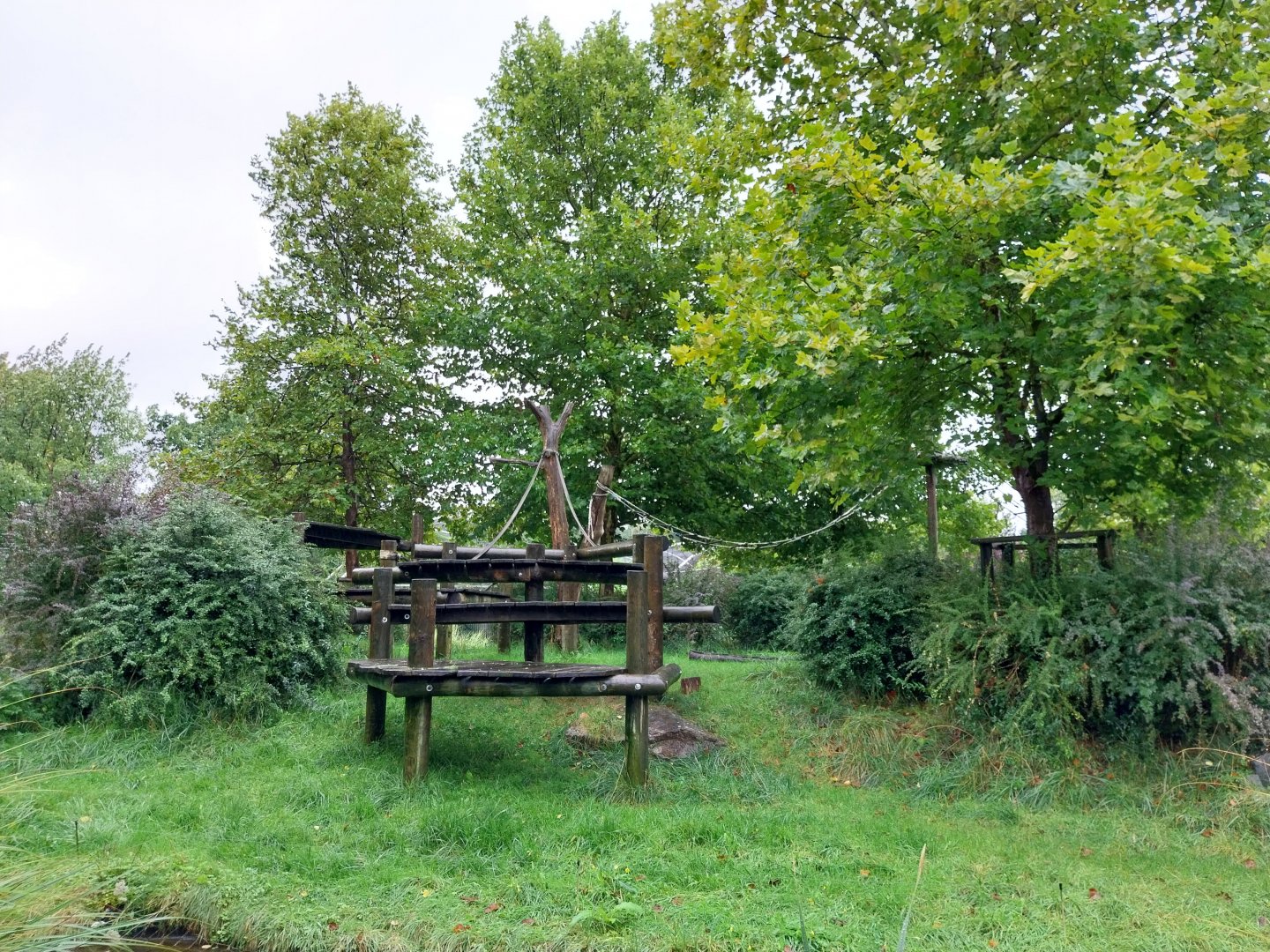 Primate House - Main gorilla enclosure
