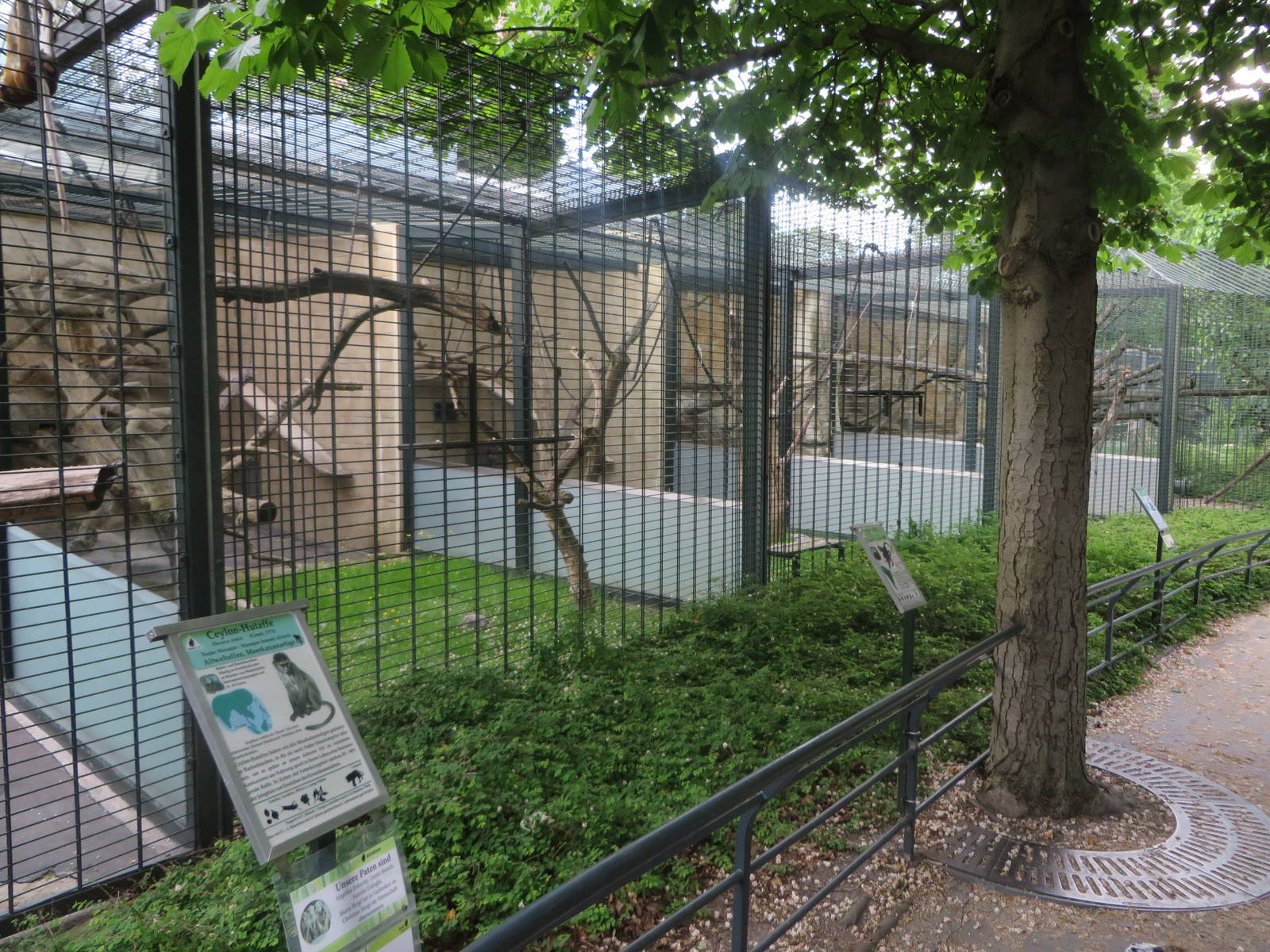 Primate house - outdoor cages