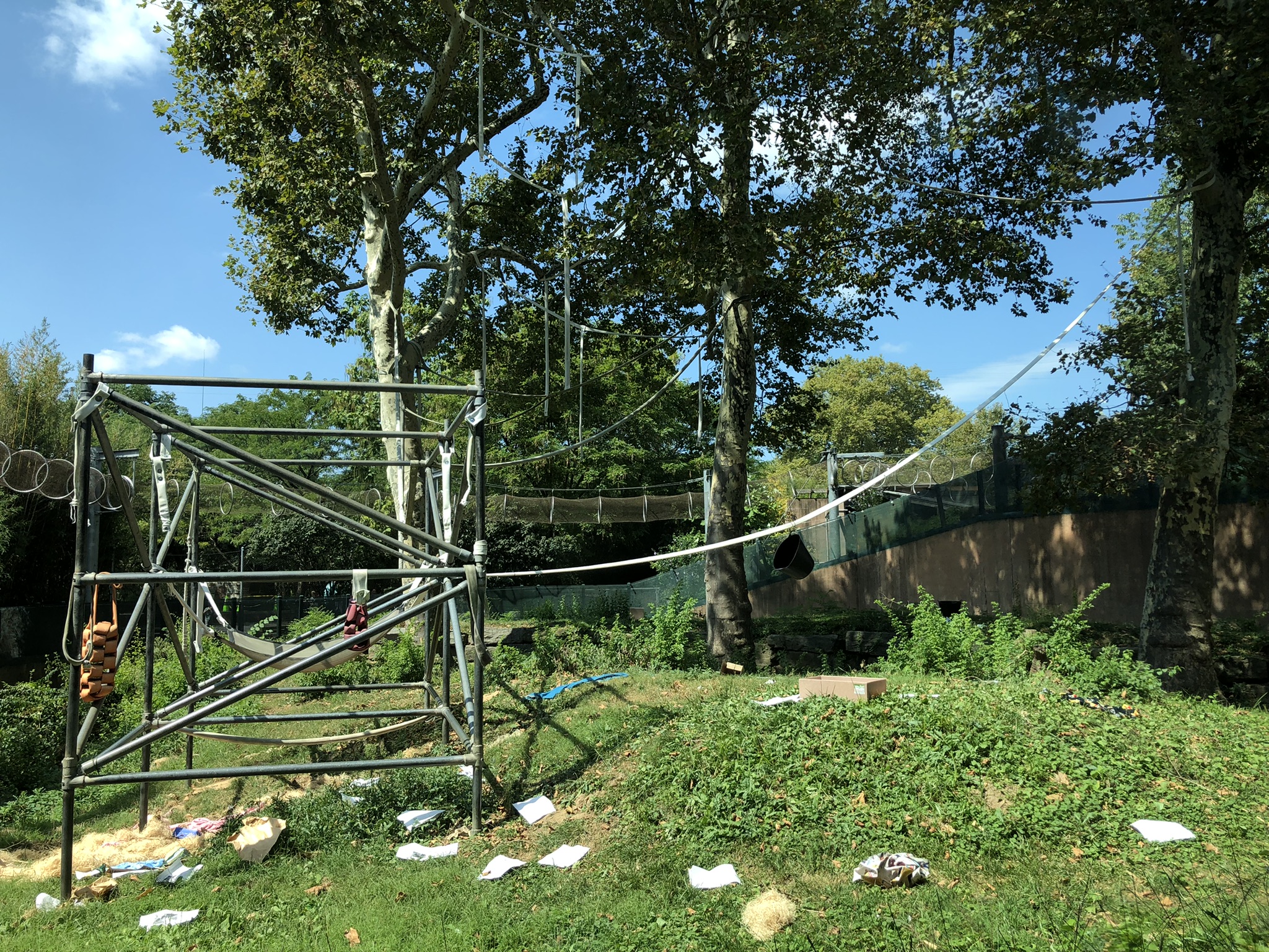 Primate house, Outdoor gibbon and orangutan exhibit