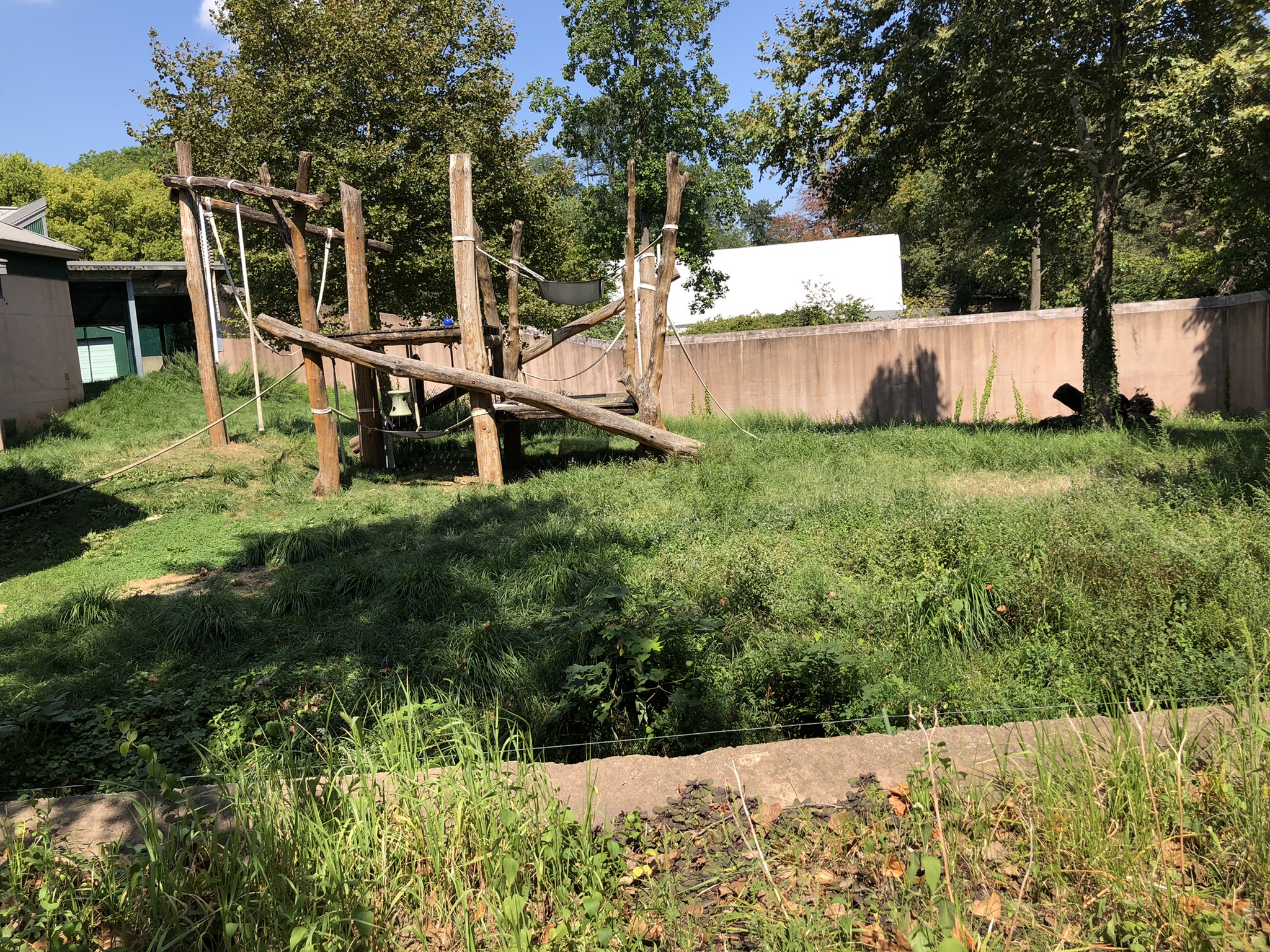 Primate house, Outdoor gorilla exhibit