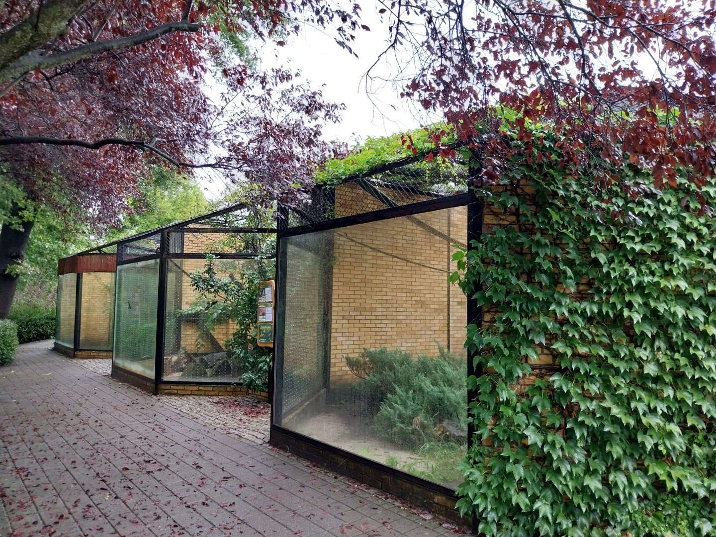 Primate House - Outside cages