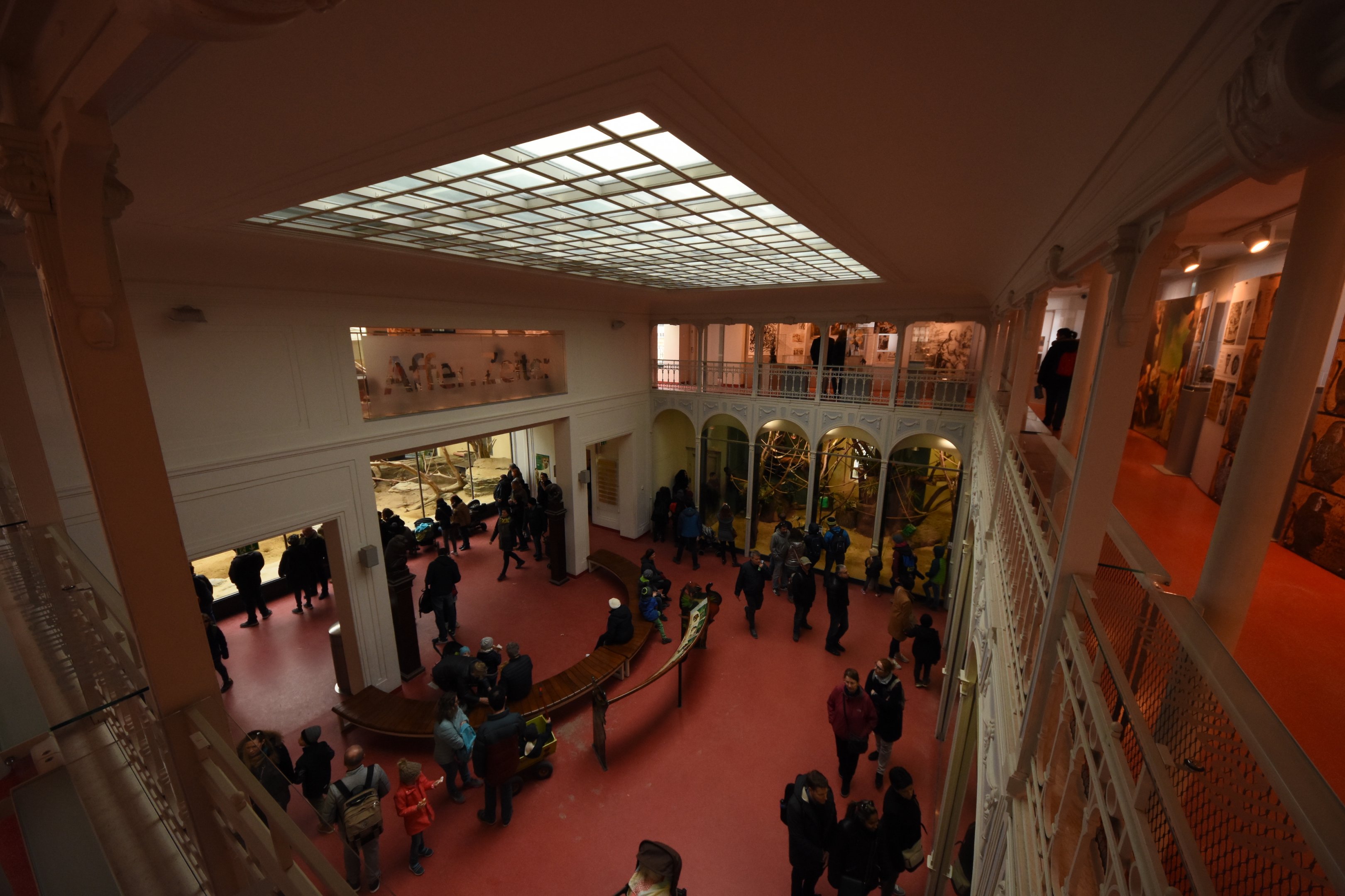 Primate house - overview