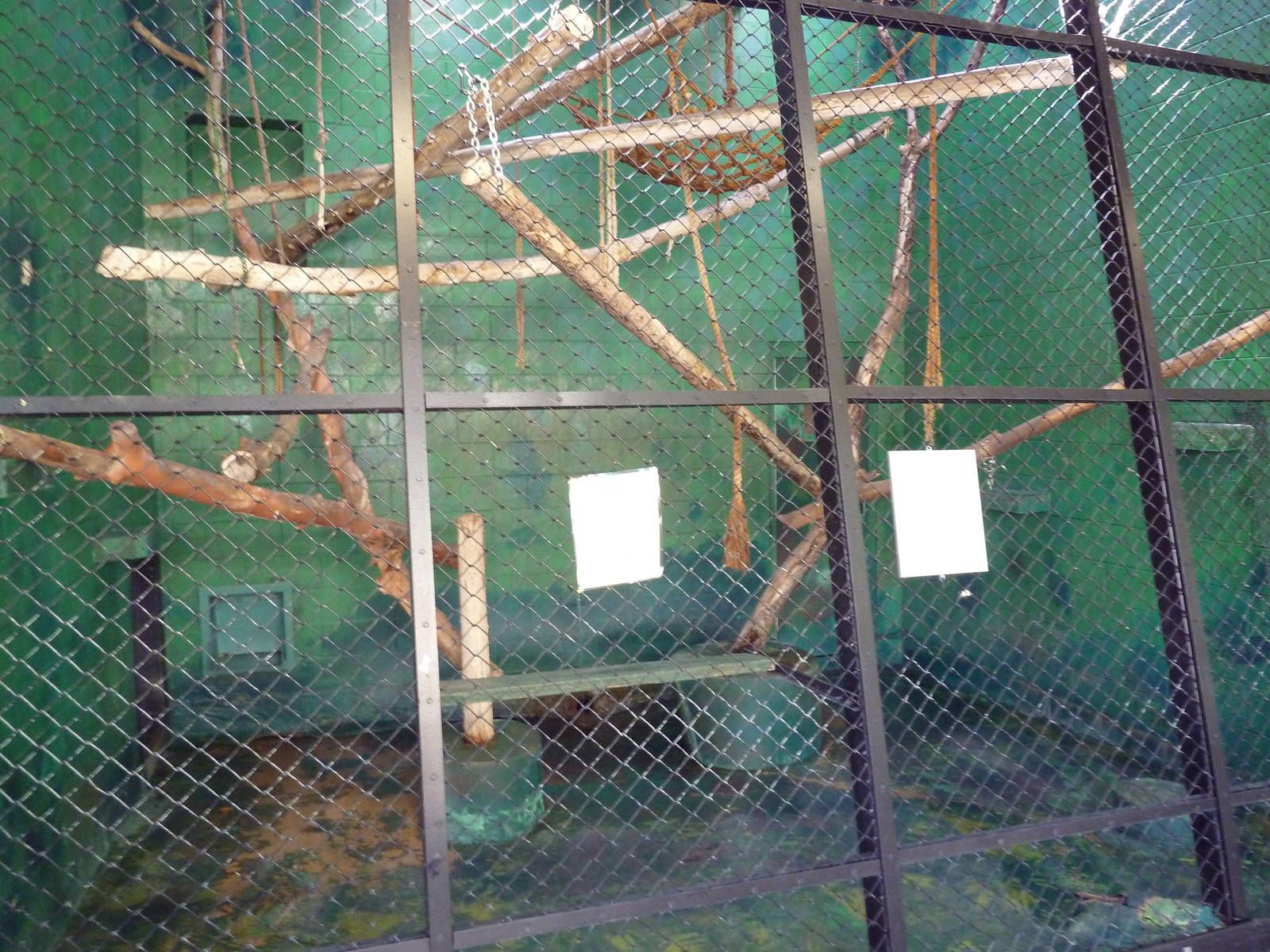 Primate House - Patas Monkey Indoor Exhibit
