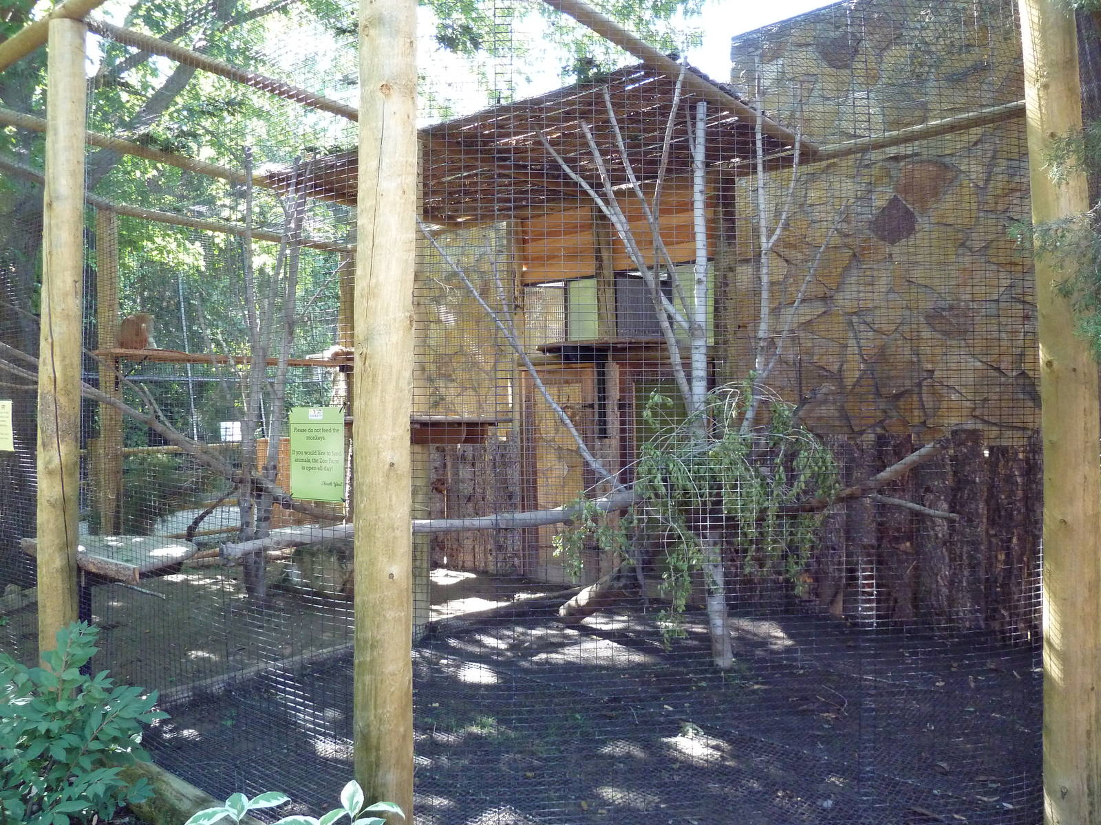 Primate House - Patas Monkey Outdoor Exhibit