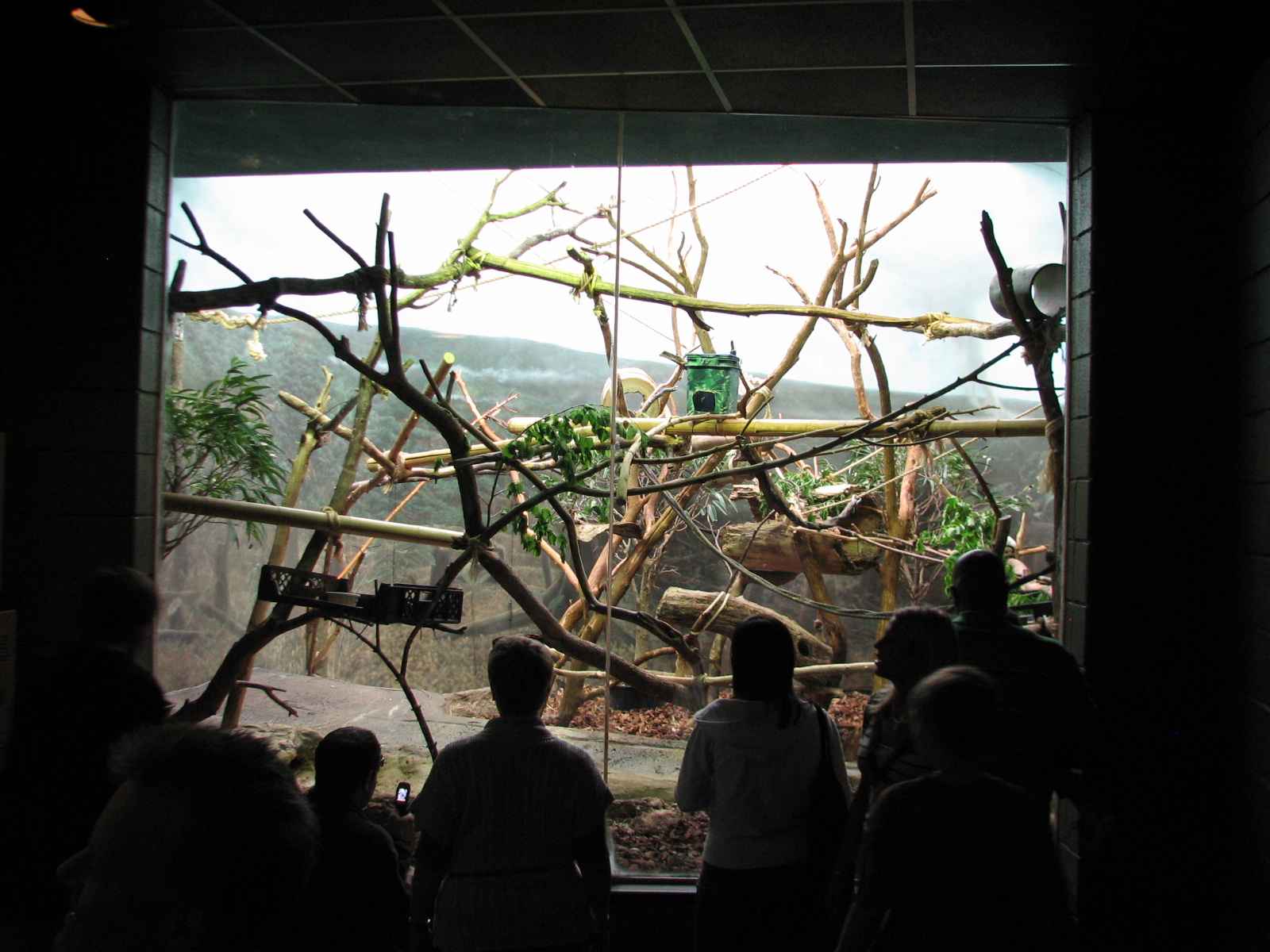 Primate House - Pied Tamarin Exhibit