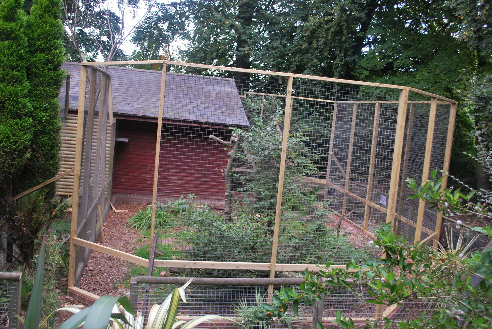 Primate House re structure