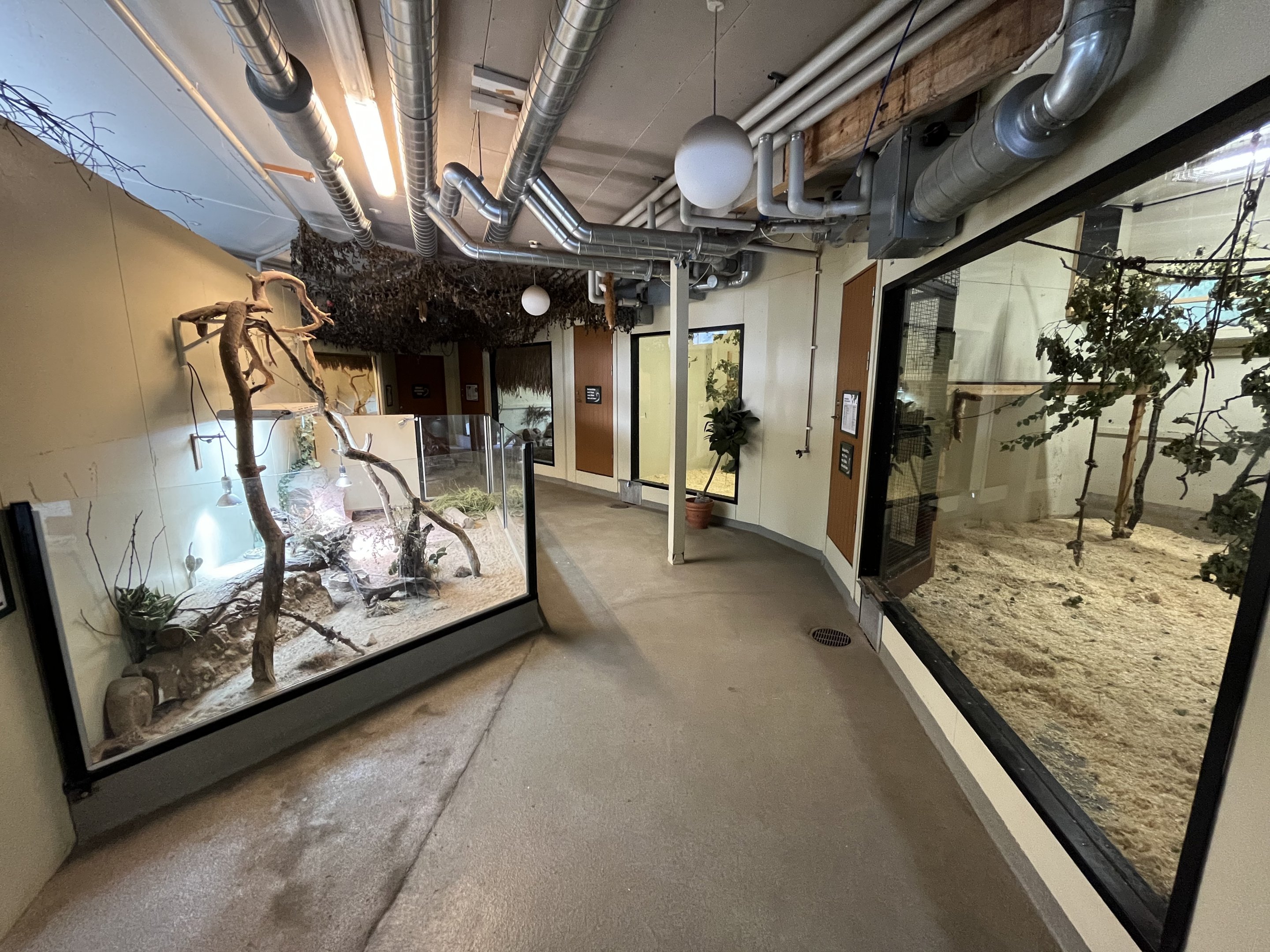 Primate House - reptile exhibits