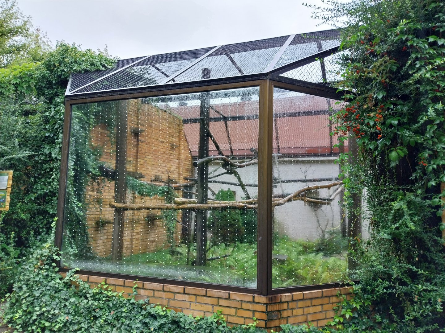 Primate House - Ring-tailed lemur enclosure
