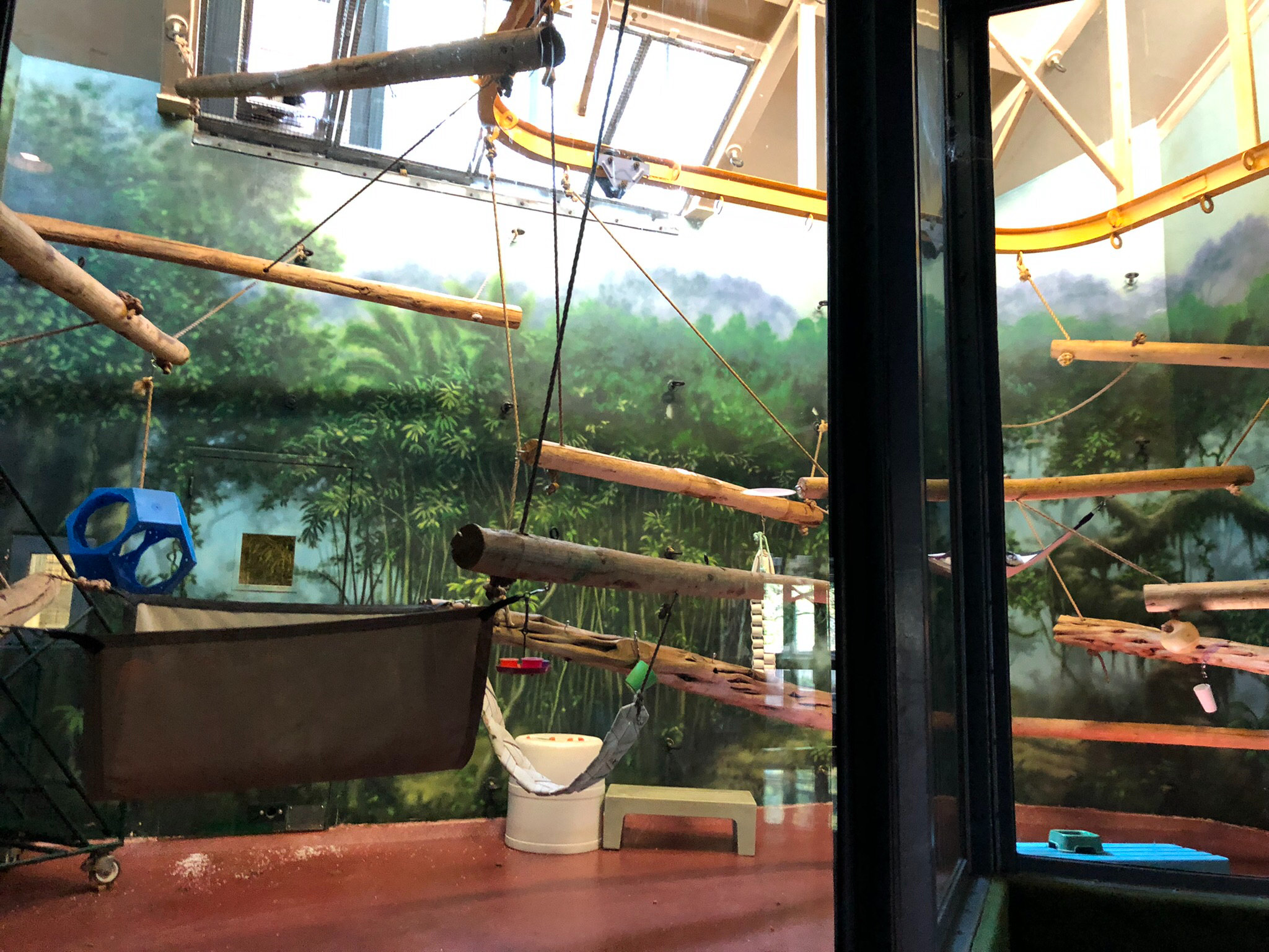 Primate house, Ruffed lemur exhibit