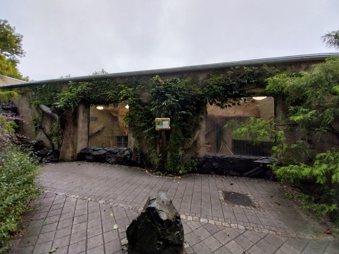 Primate House - Smallest gorilla enclosure