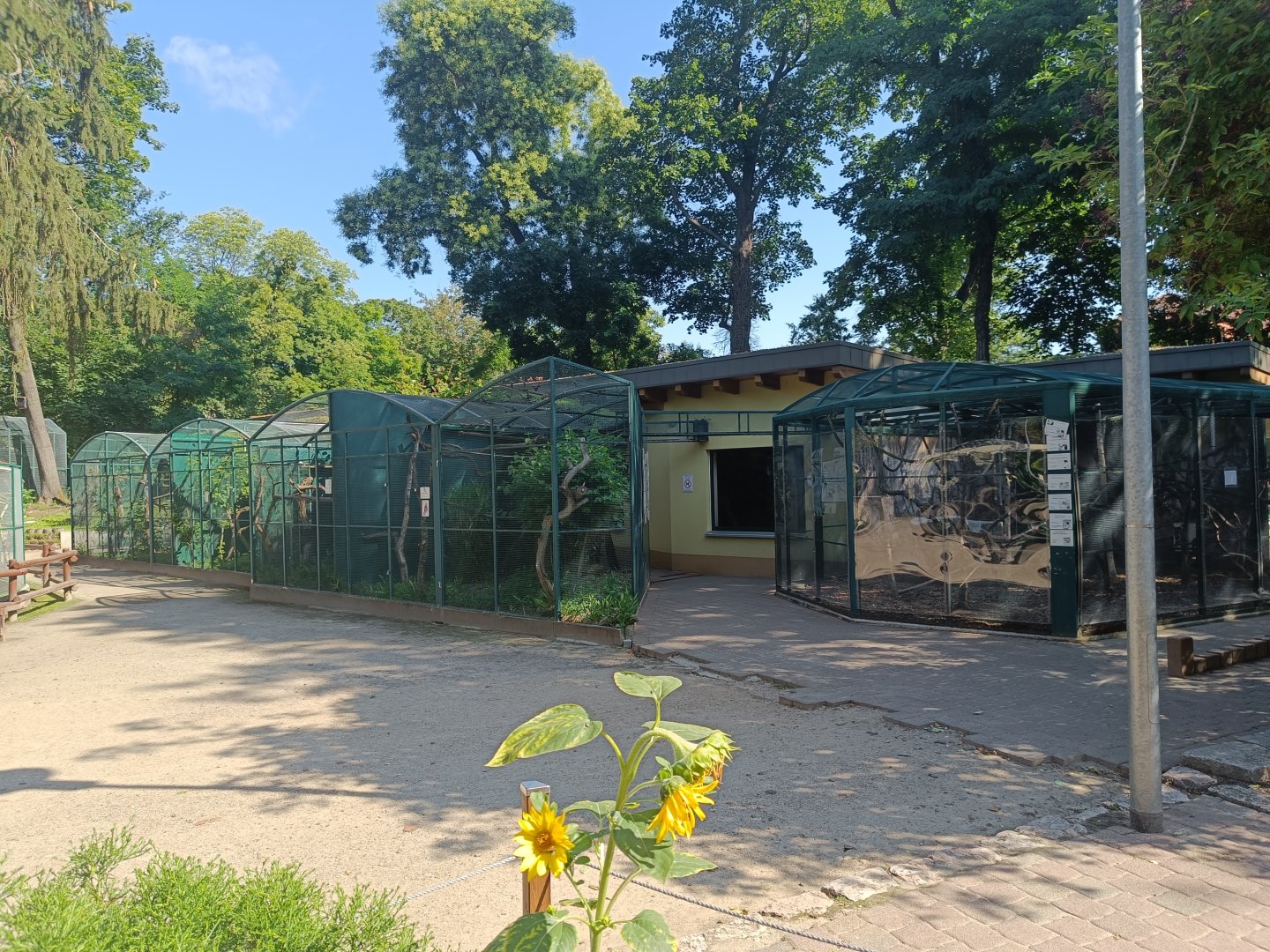 Primate House - Tierpark Wittenberg