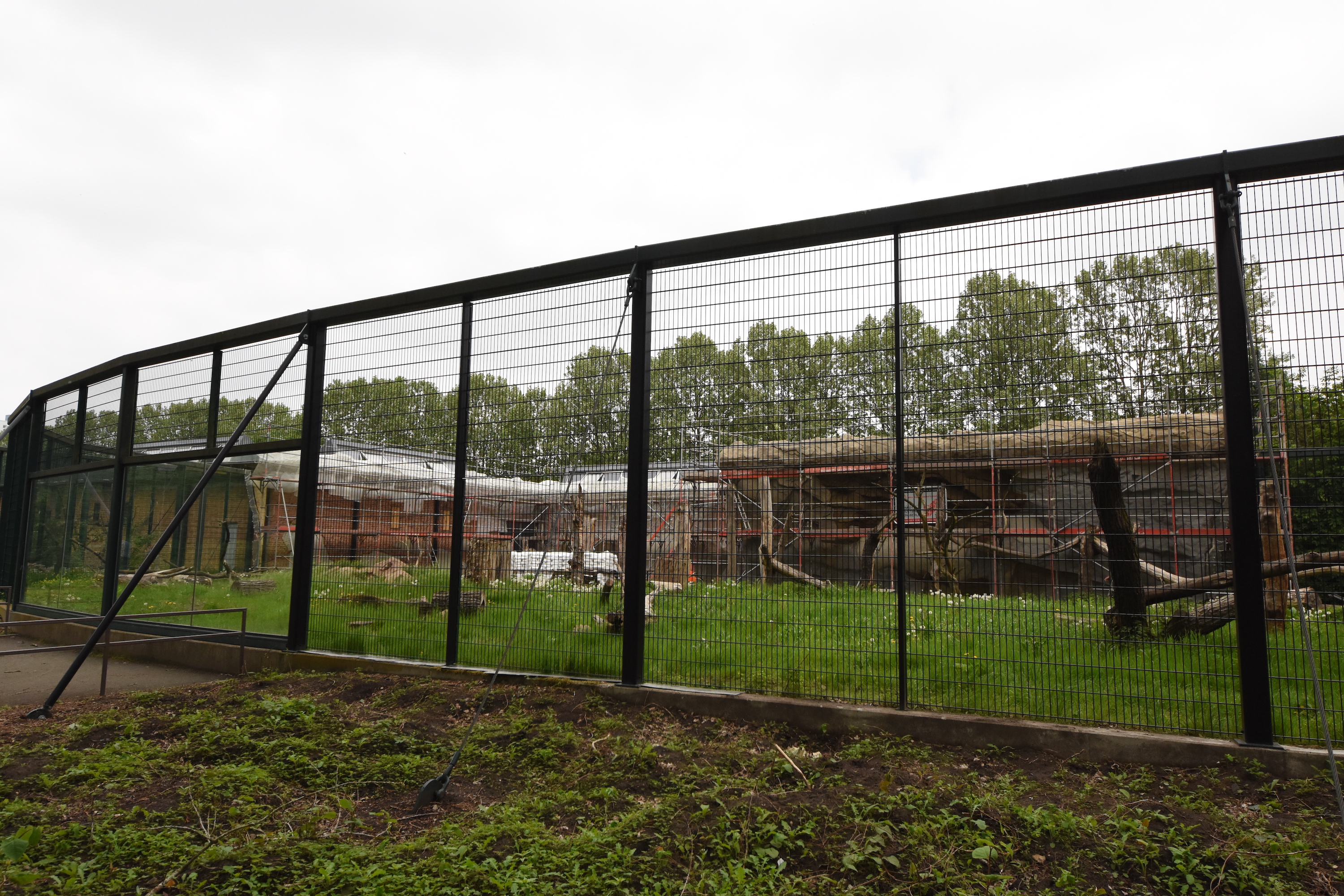 Primate house under renovation