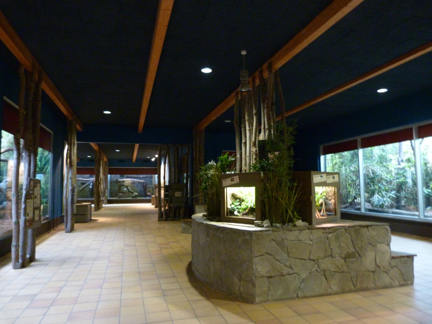 Primate house view -Tierpark Berlin (2024)