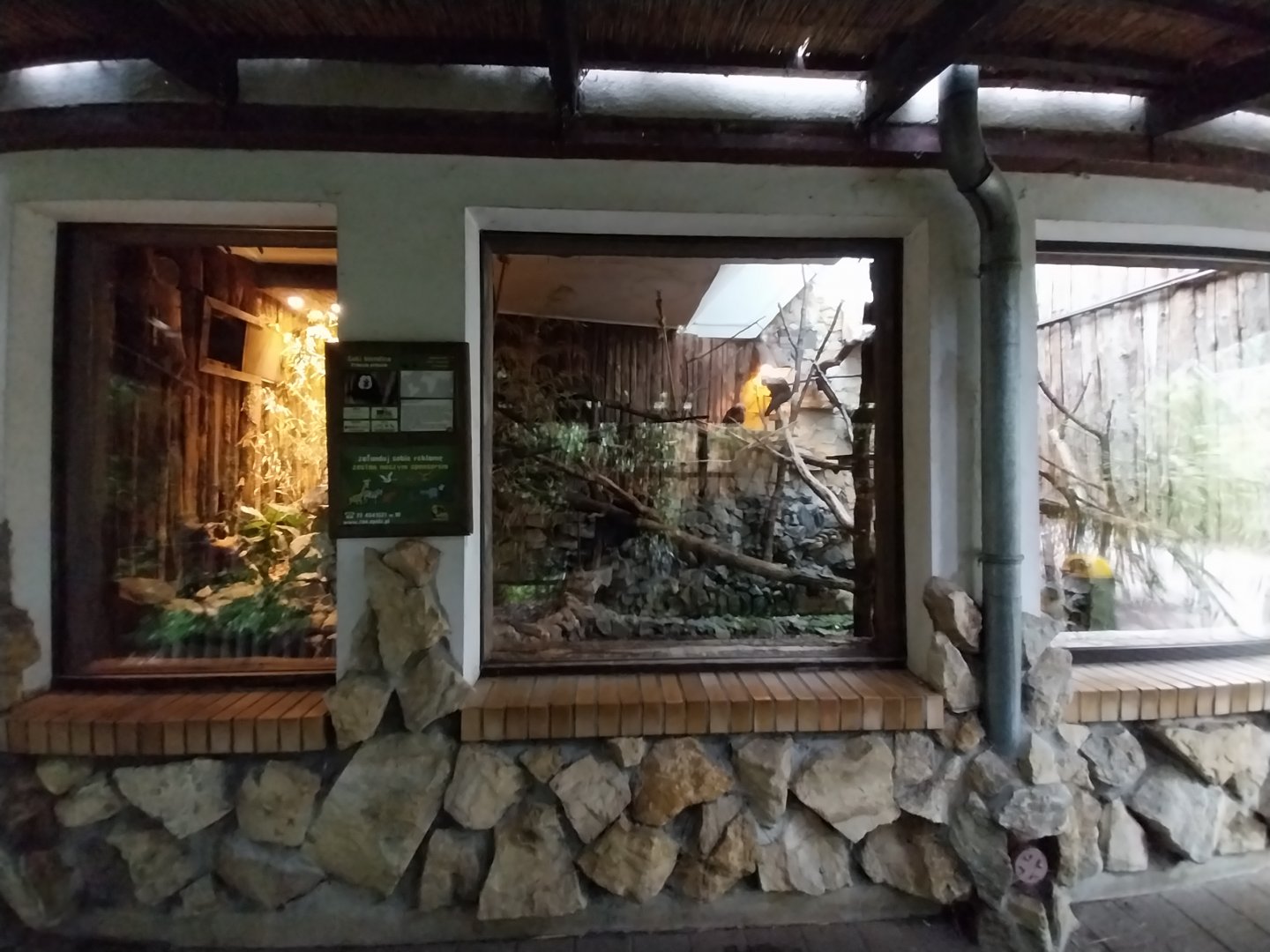Primate House - White-faced saki enclosure
