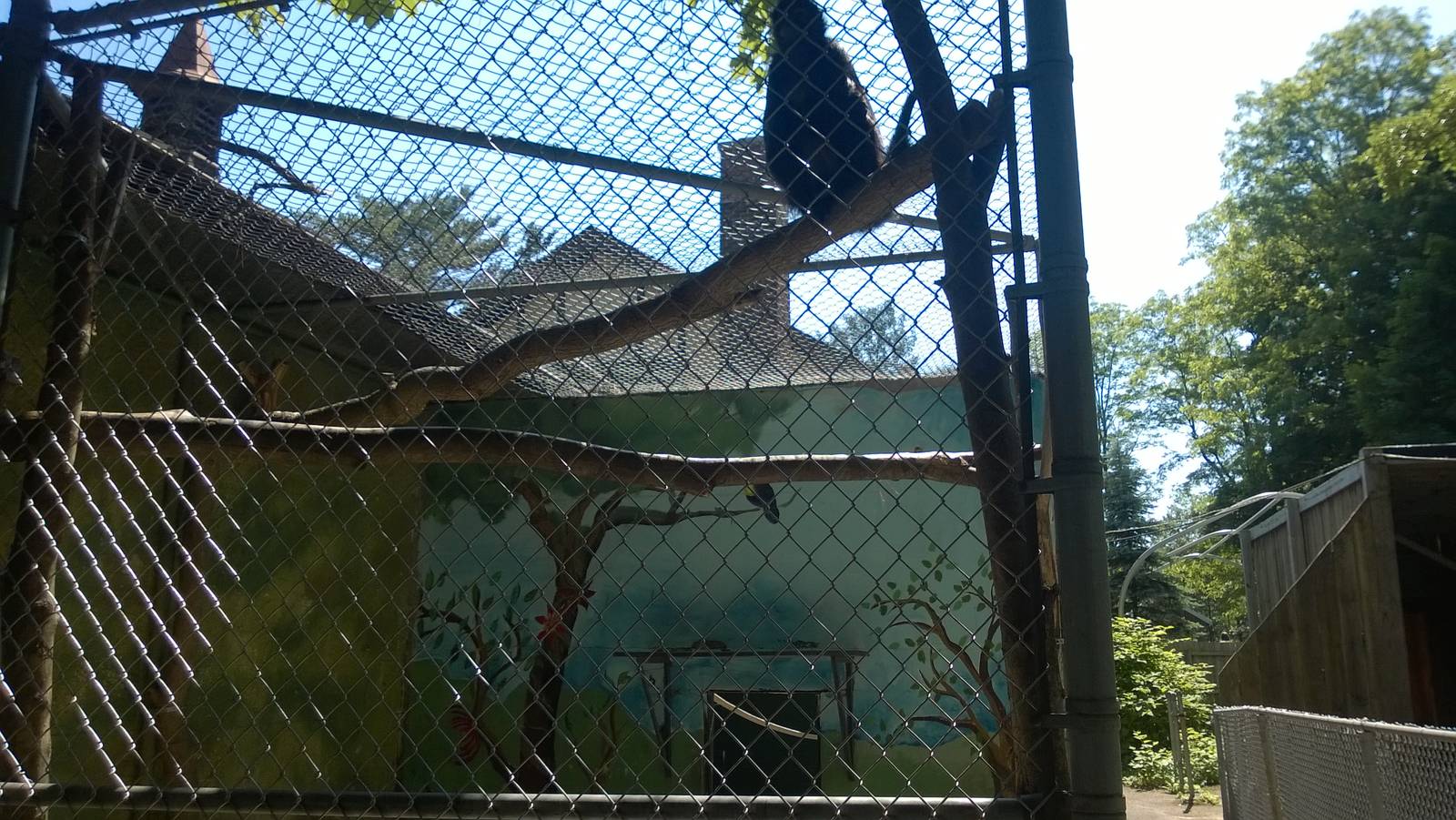 Primate House