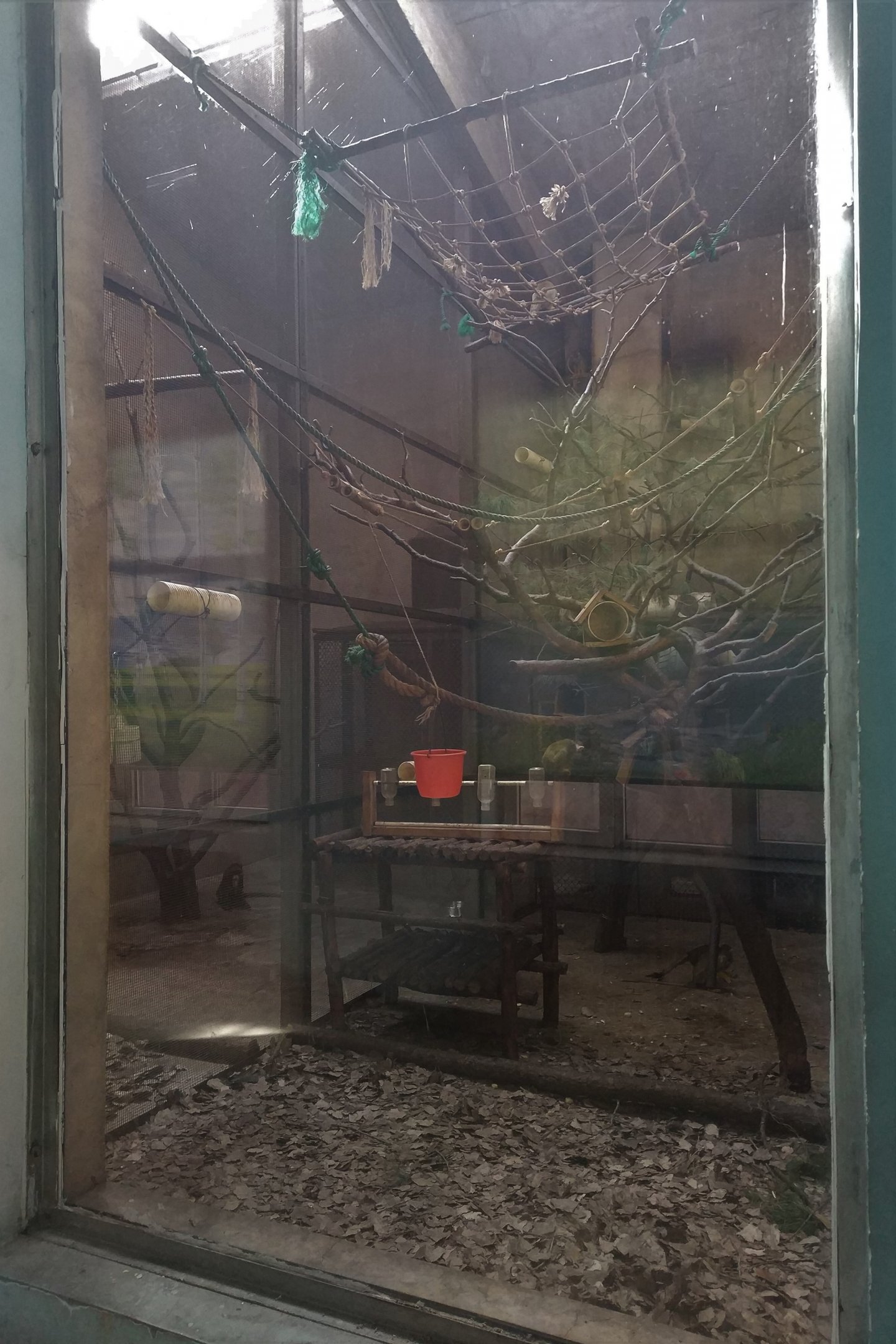 Primate Indoor Exhibit