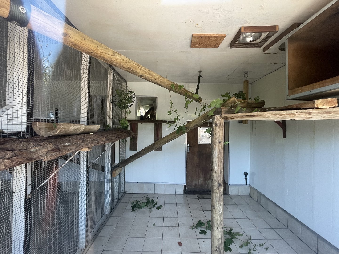 Primate Indoor Quarters