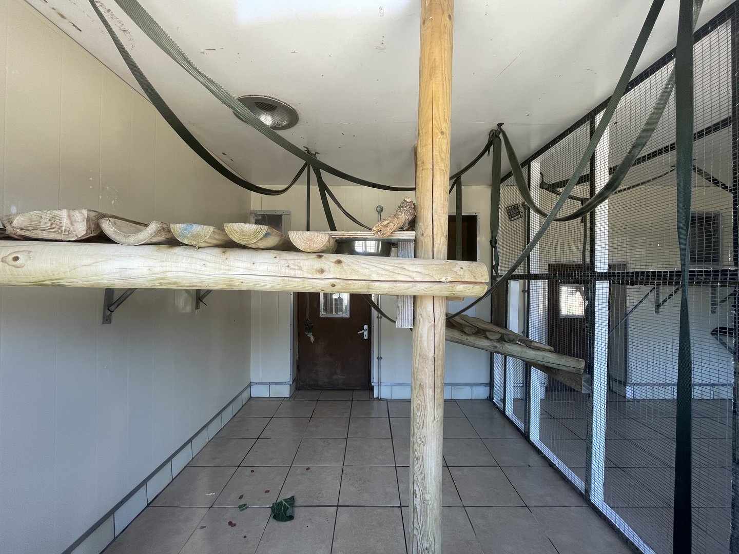 Primate Indoor Quarters