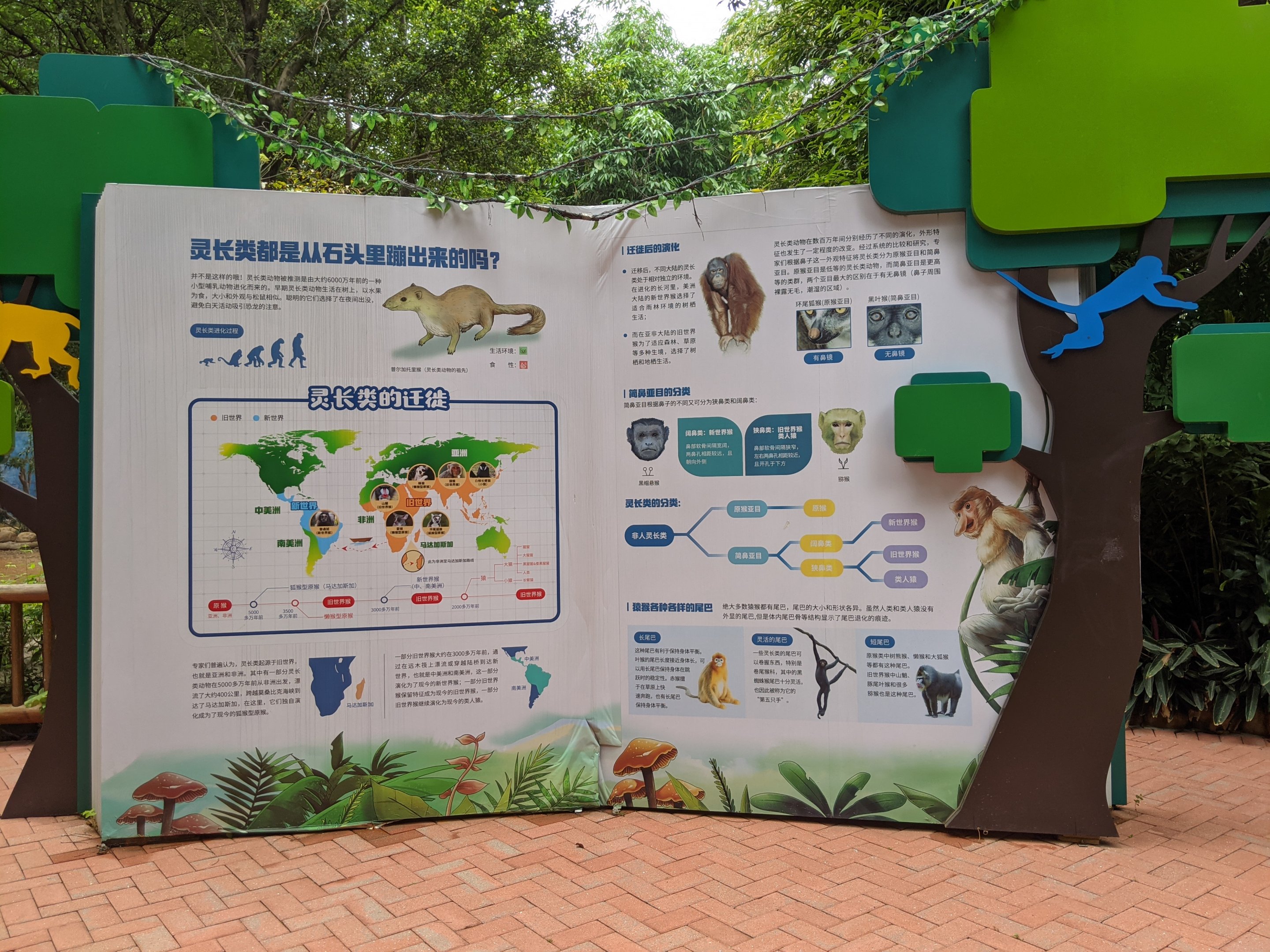 Primate informational signage