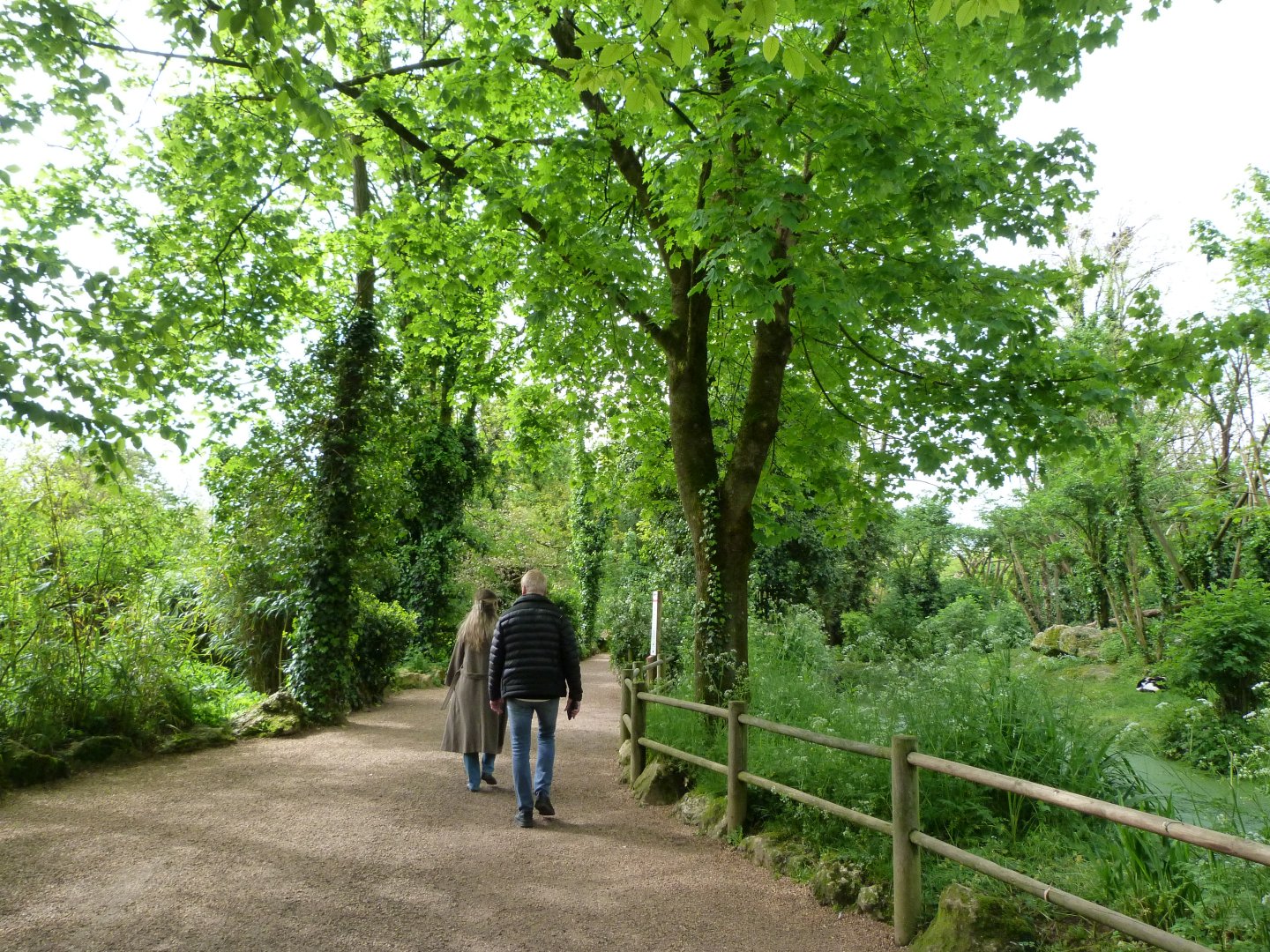 Primate island area -Bioparc de Doué la Fontaine (2025)