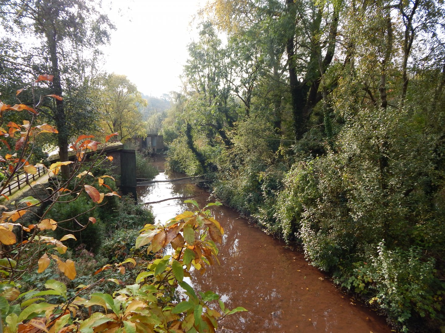 Primate islands - Black howlers and Pileated gibbons 181020