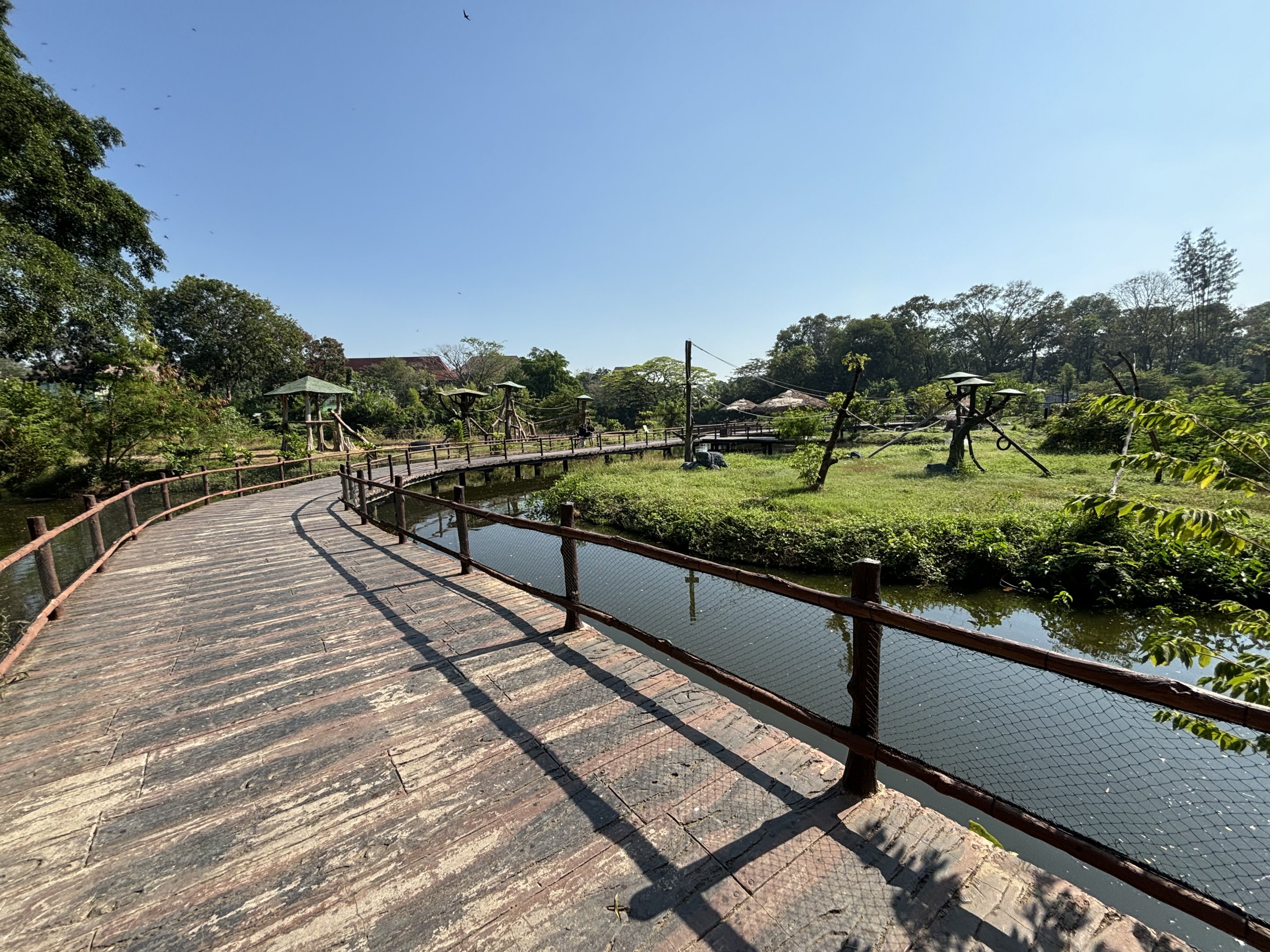 Primate Islands Boardwalk - Solo Safari