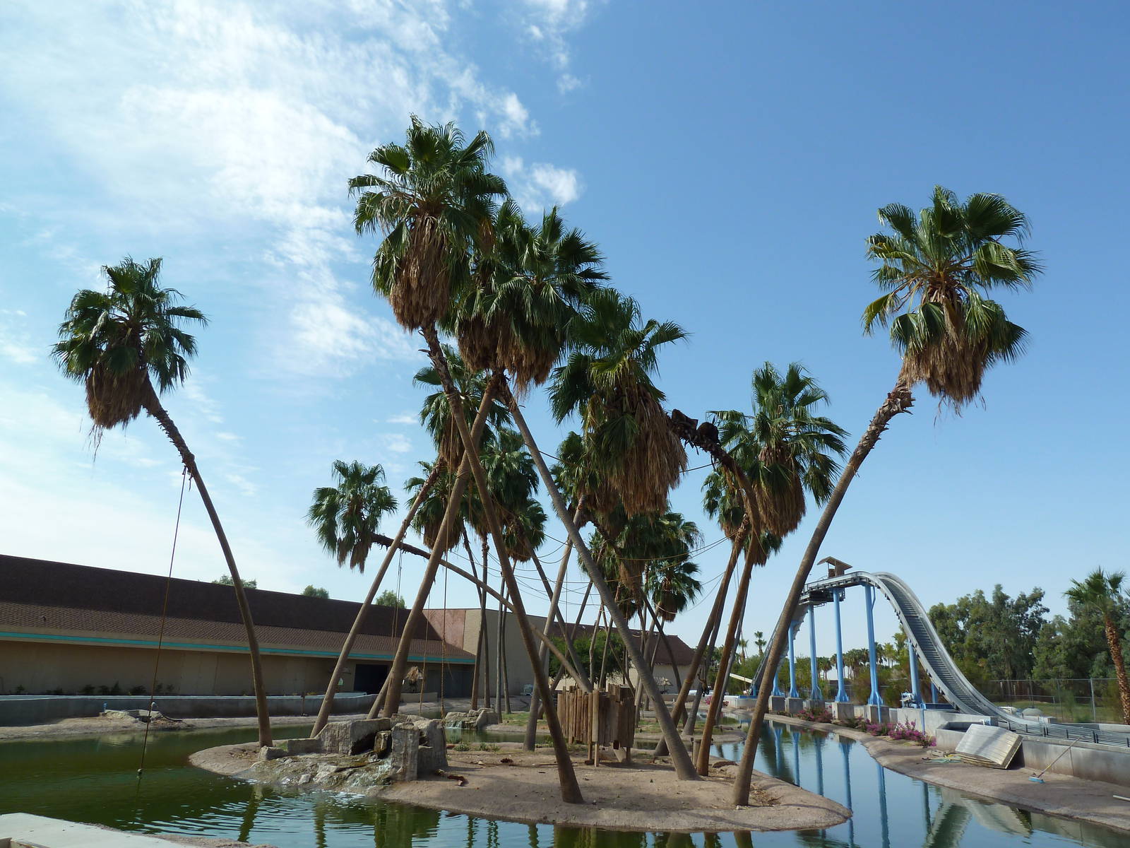 Primate Islands + Log Flume Ride