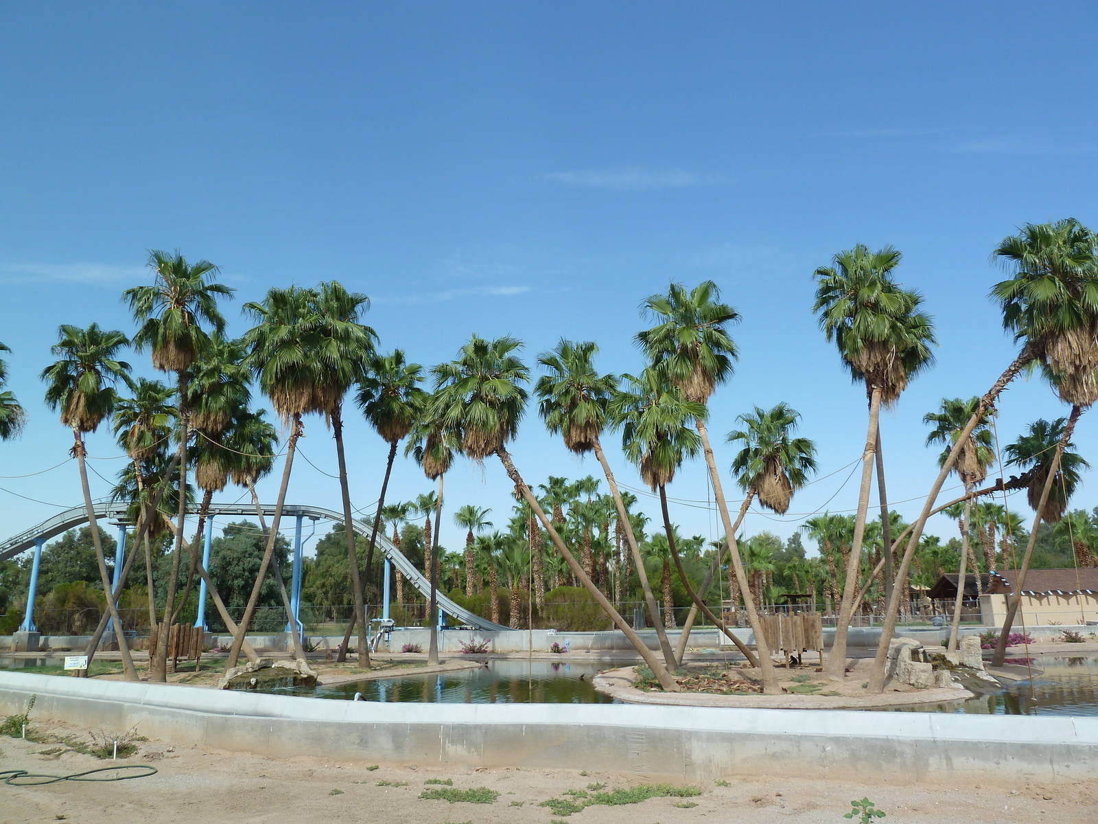 Primate Islands + Log Flume Ride