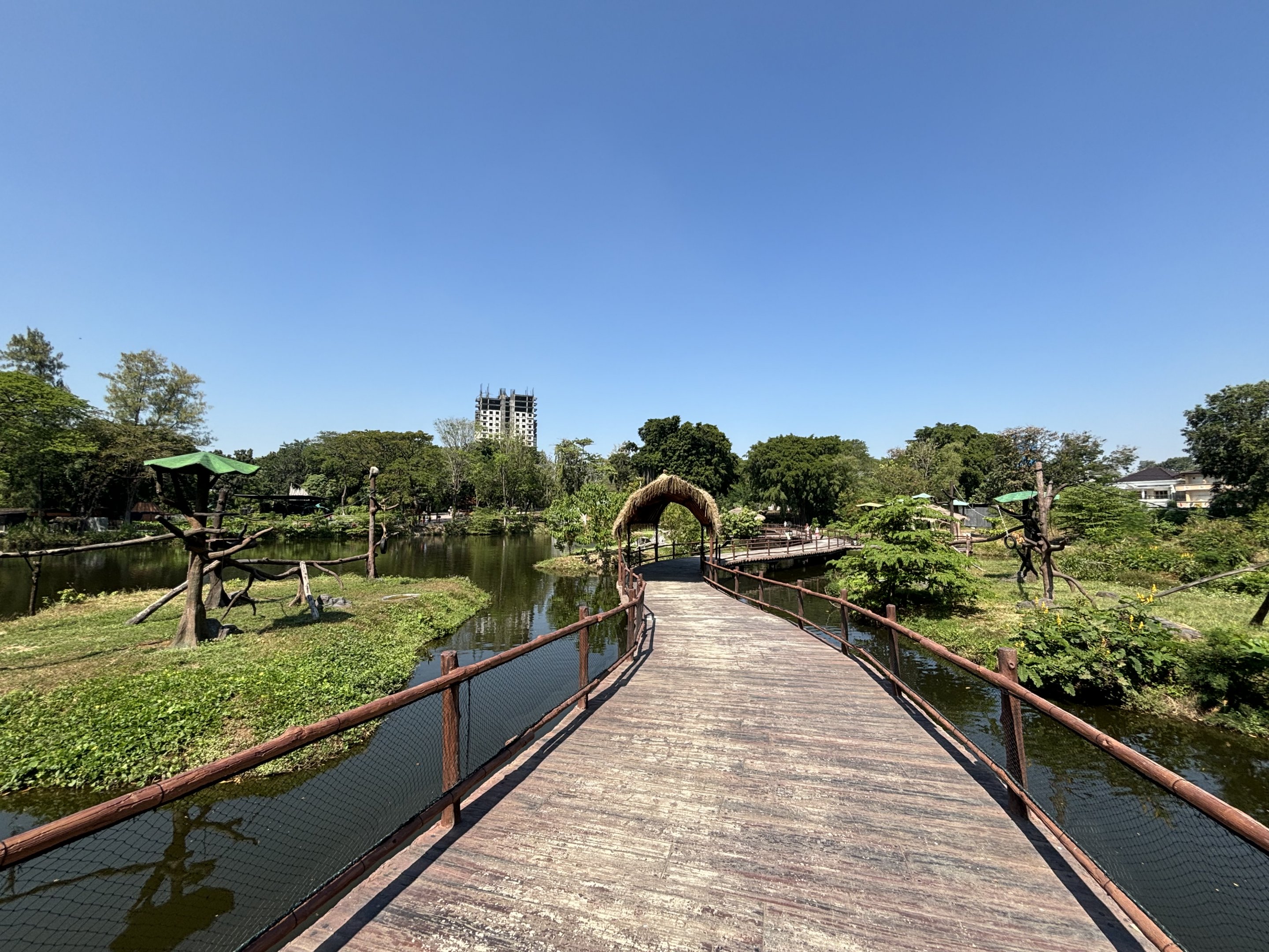 Primate Islands - Solo Safari