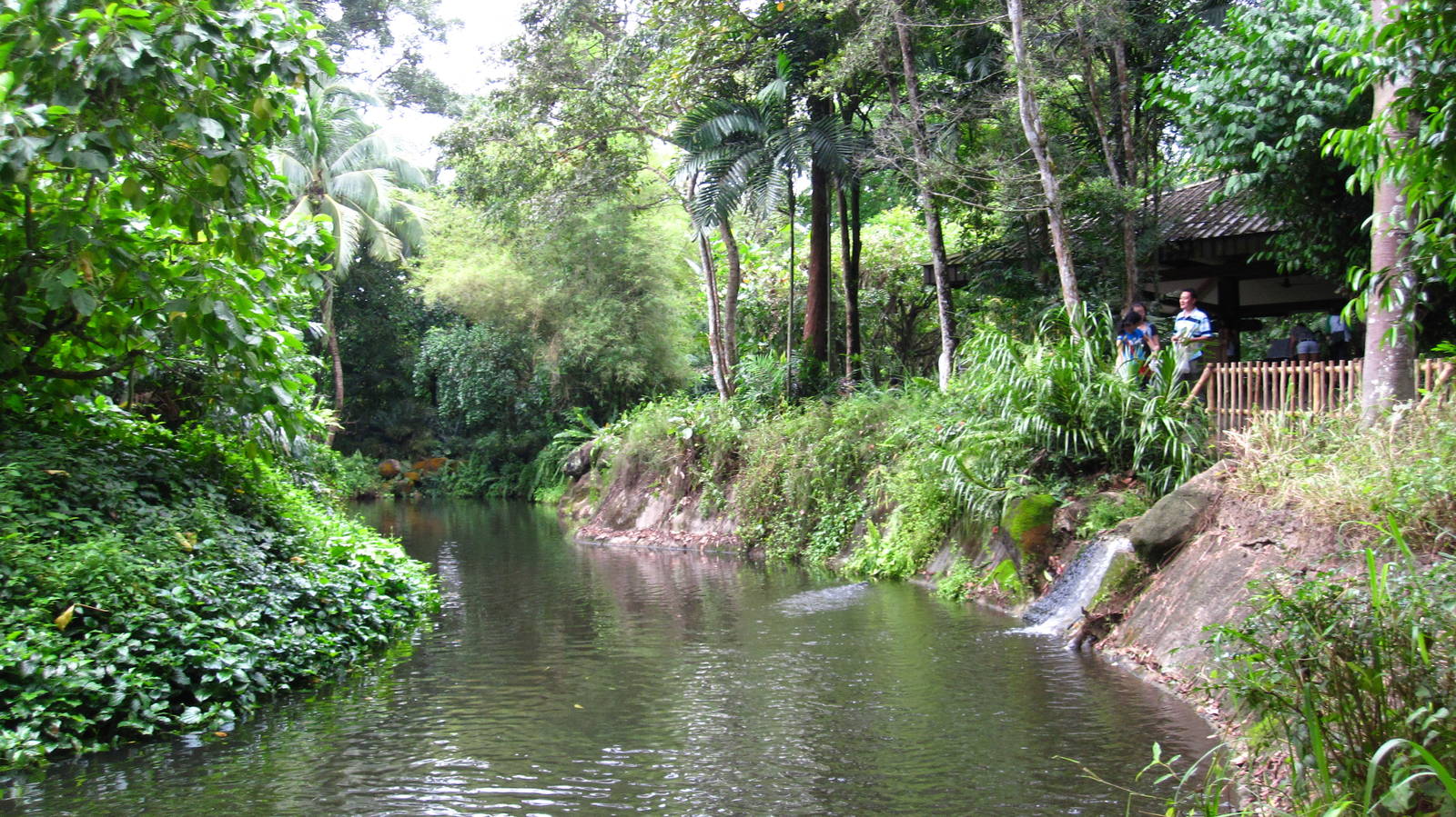 Primate Kingdom - Landscaping