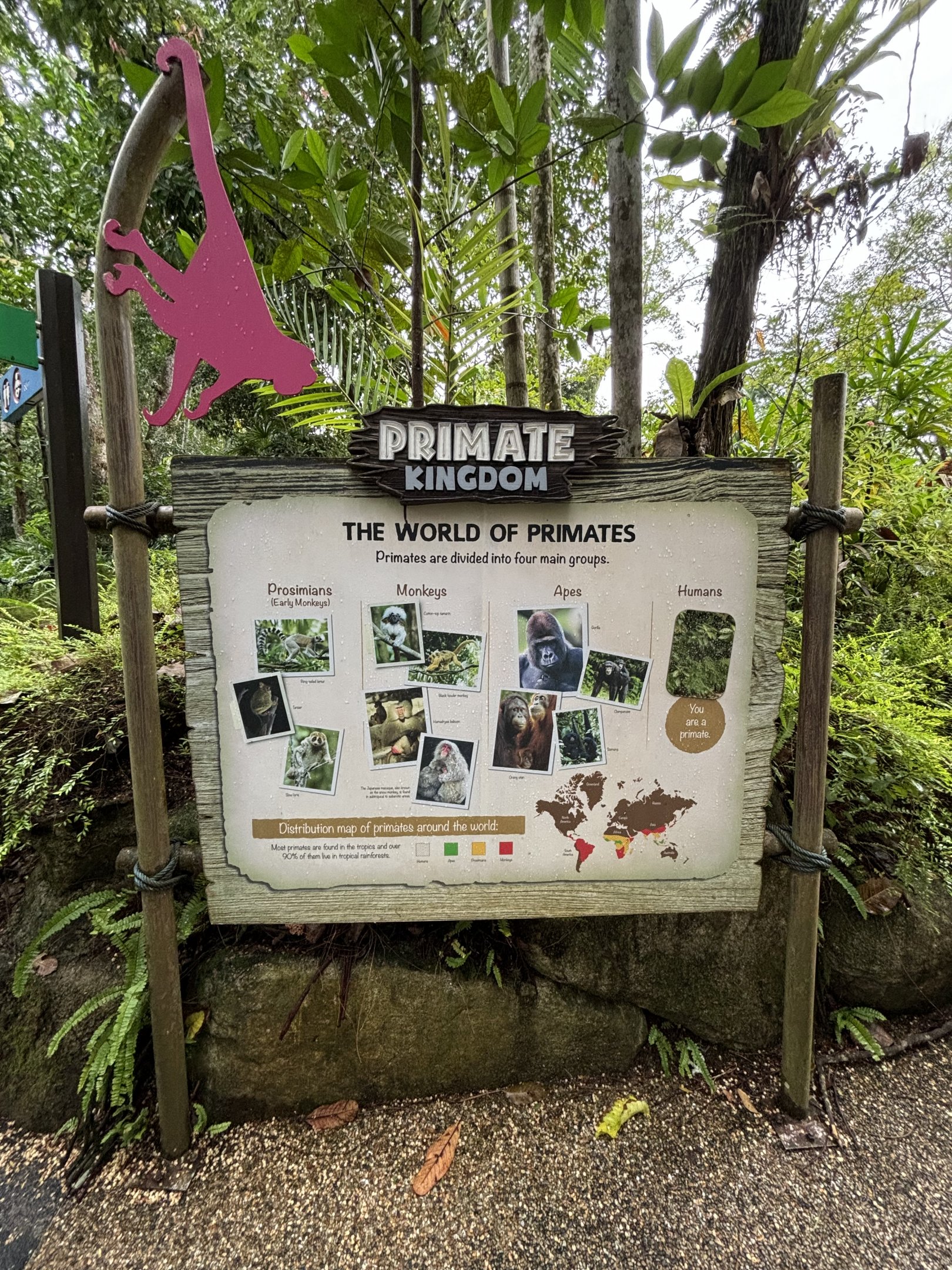 Primate Kingdom Sign