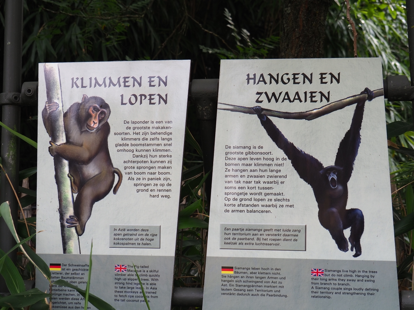 Primate locomotion signs (Sep 16th, 2018)