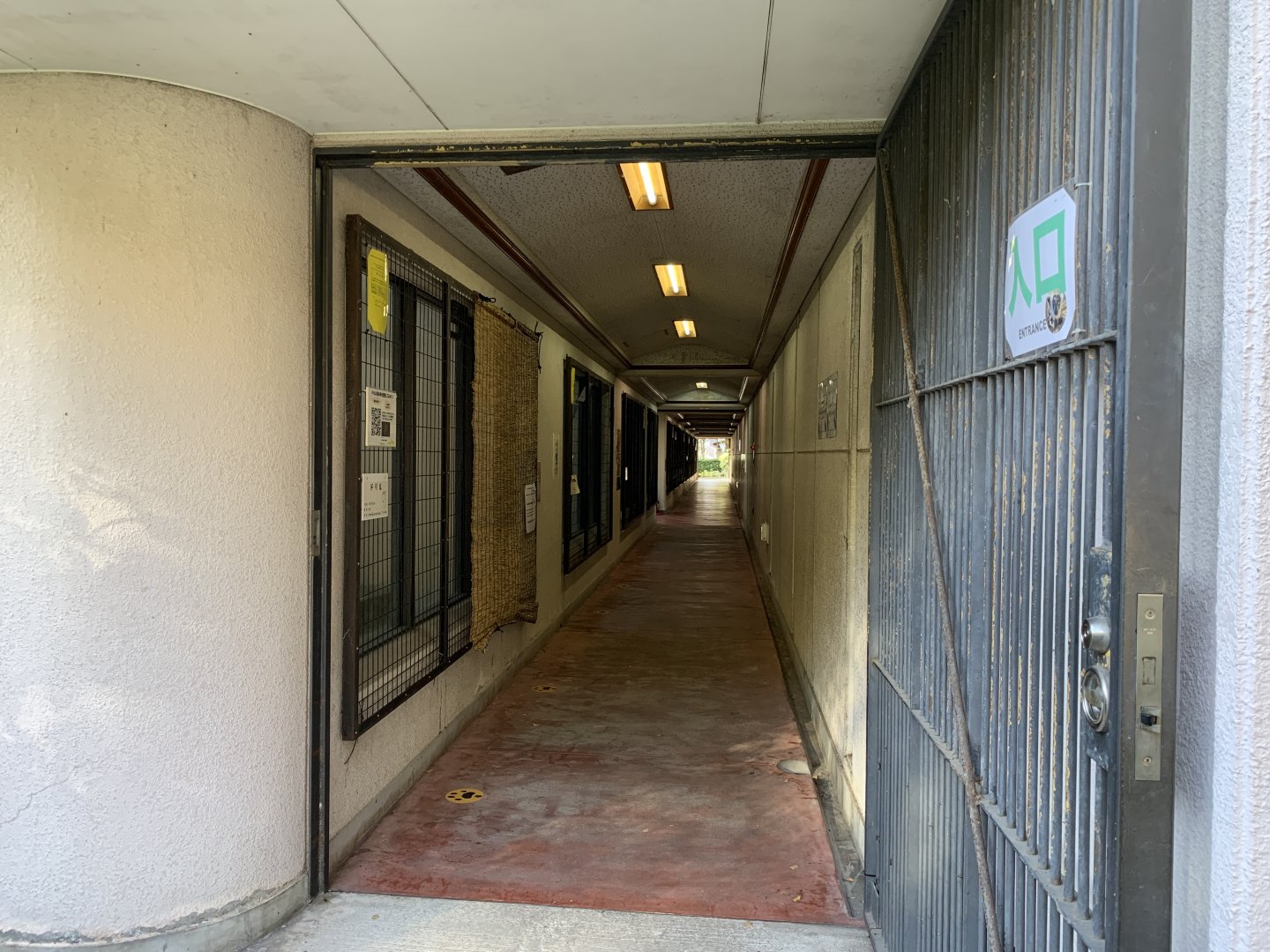 Primate Night Quarters Viewing