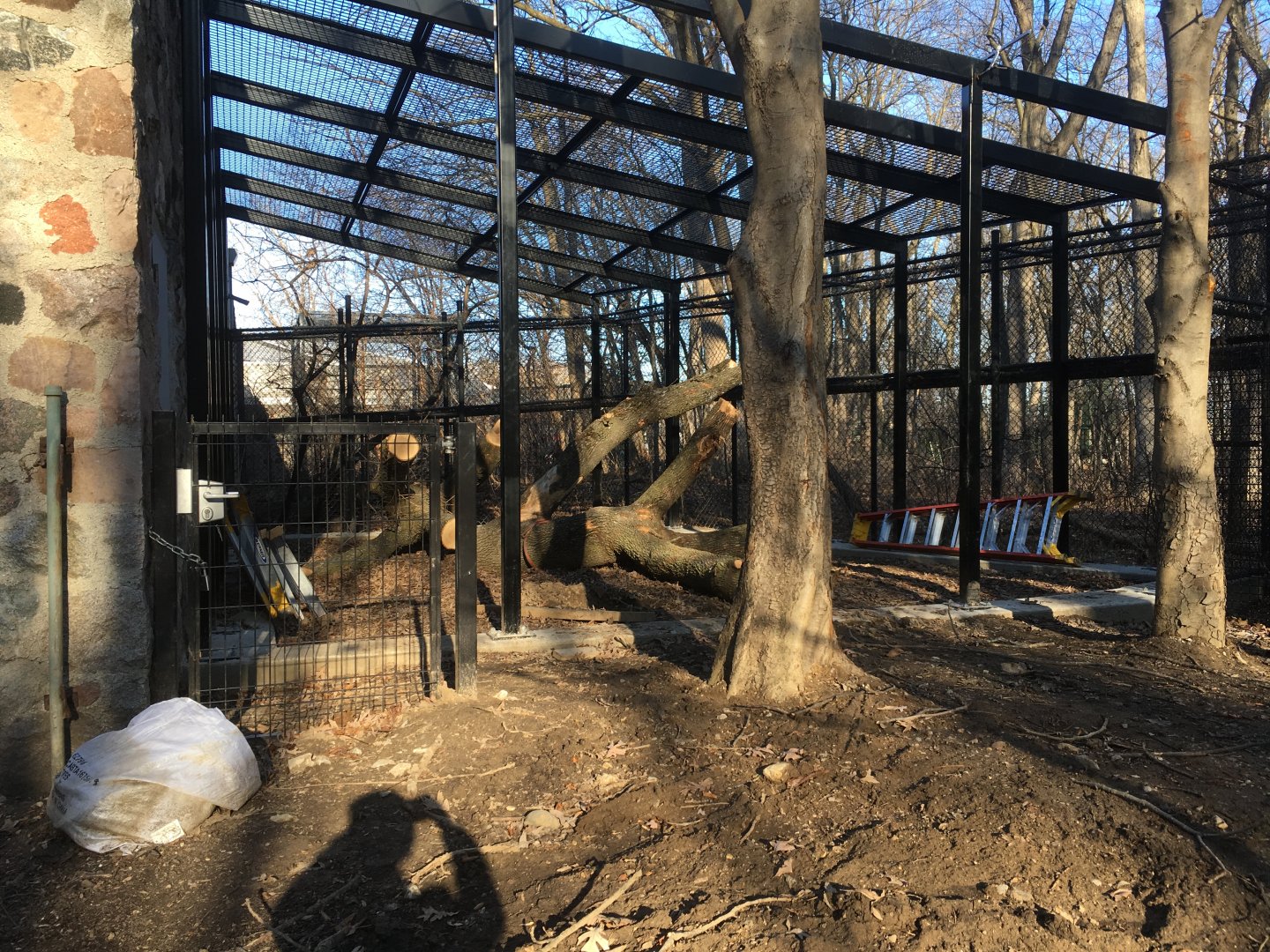 Primate Outdoor Exhibit Construction