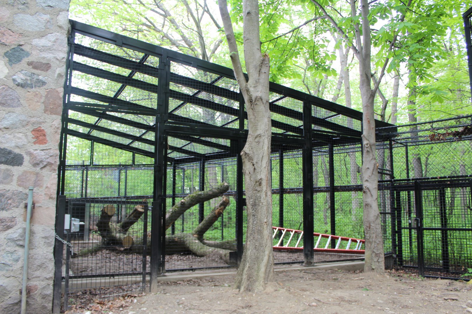Primate Outdoor Exhibit Construction