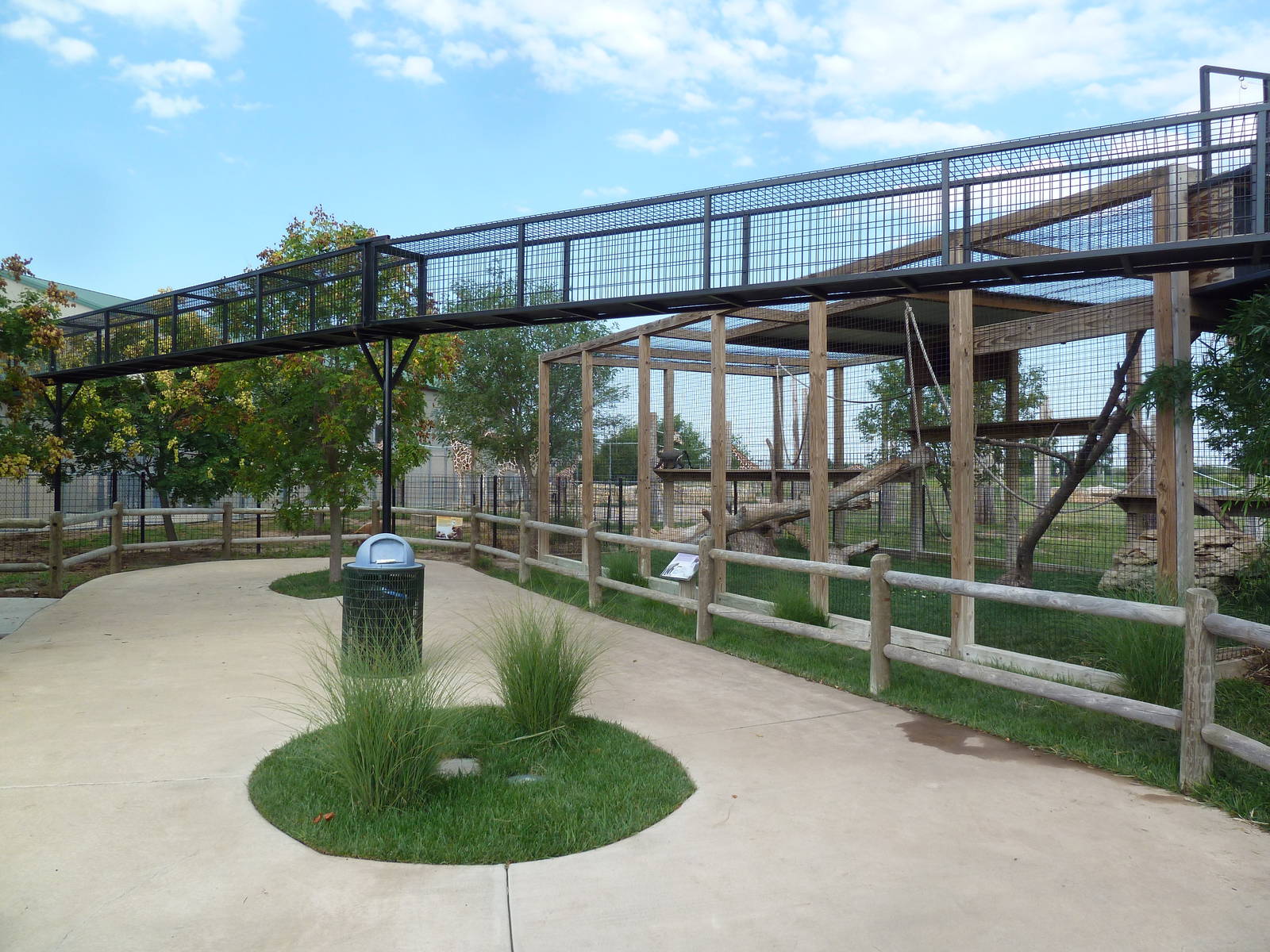 Primate Overhead Chute