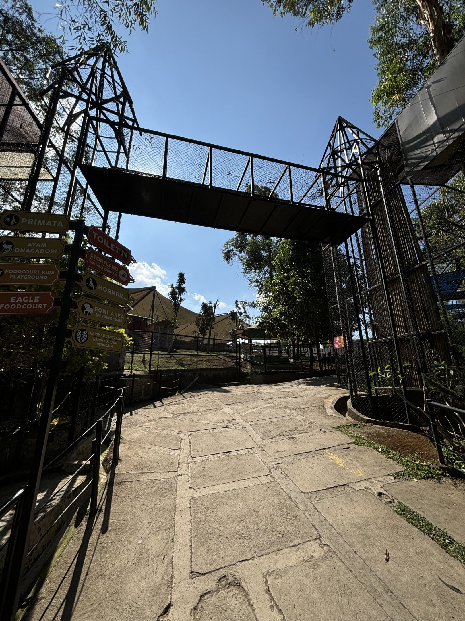 Primate Overhead Tunnel