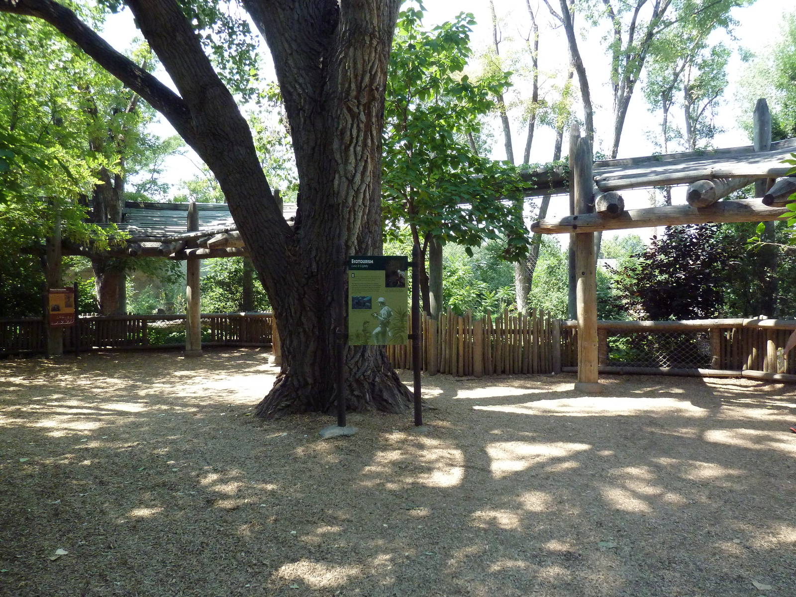 Primate Panorama - 1-Acre Gorilla Exhibit - Viewing Area