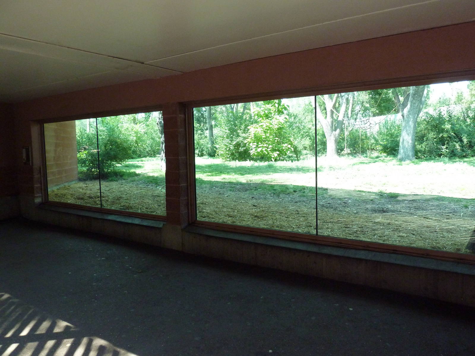 Primate Panorama - 1-Acre Gorilla Exhibit