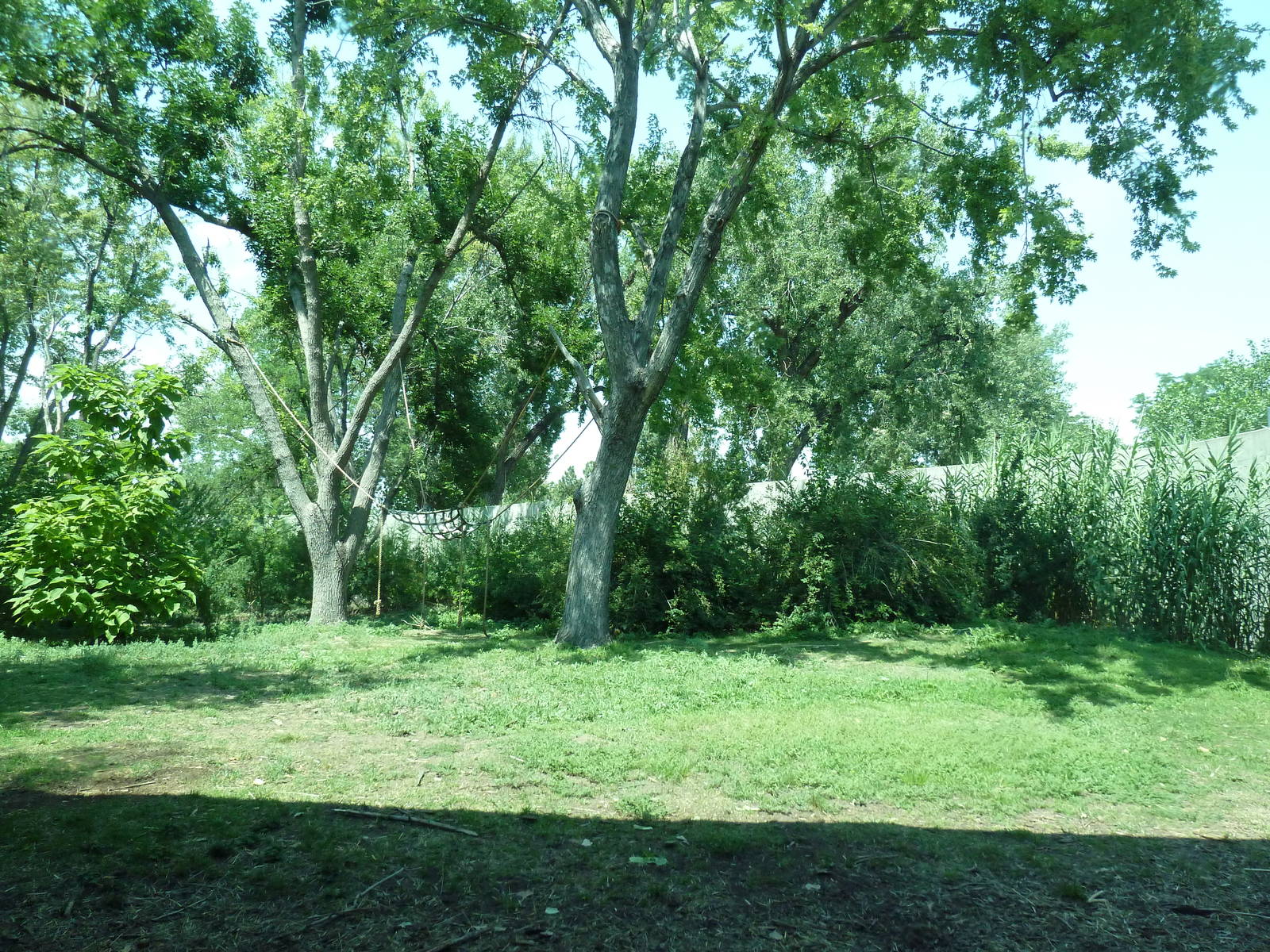 Primate Panorama - 1-Acre Gorilla Exhibit