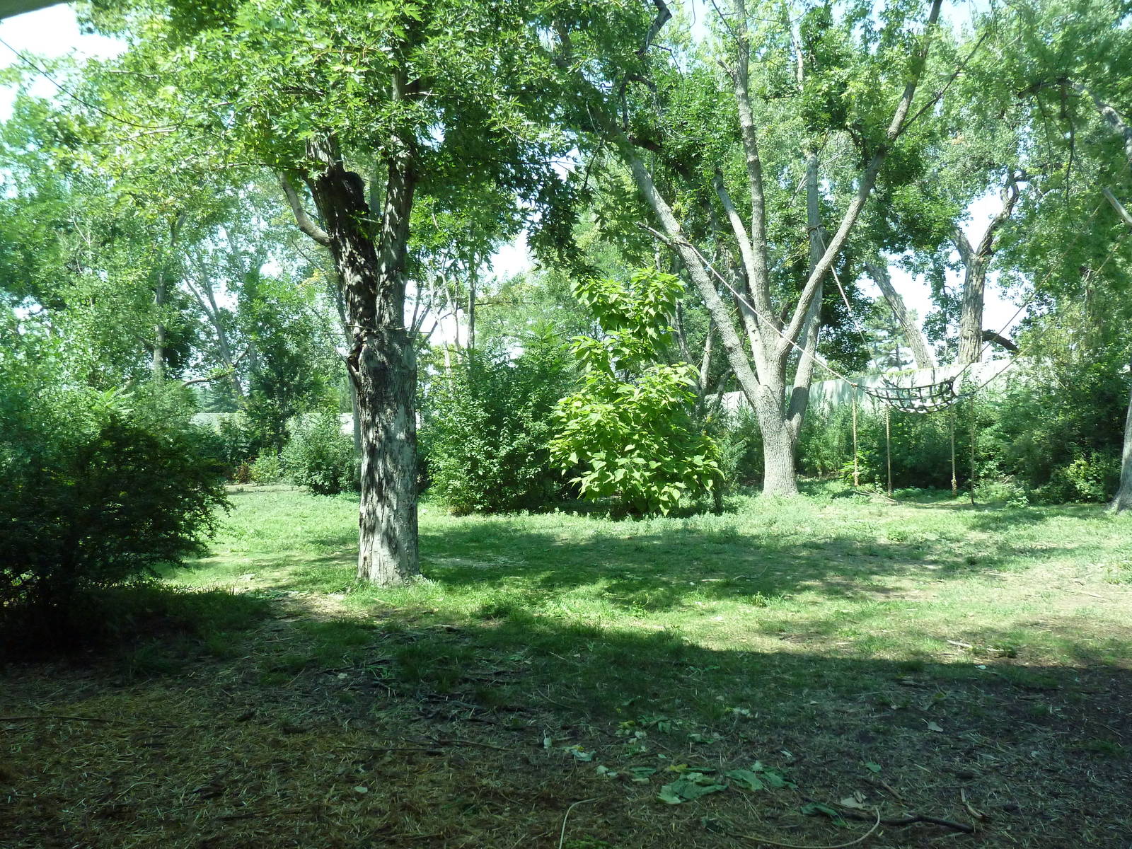 Primate Panorama - 1-Acre Gorilla Exhibit