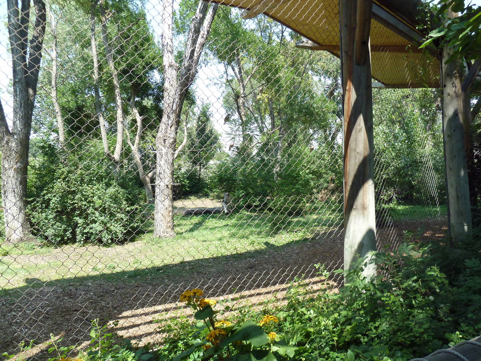 Primate Panorama - 1-Acre Gorilla Exhibit