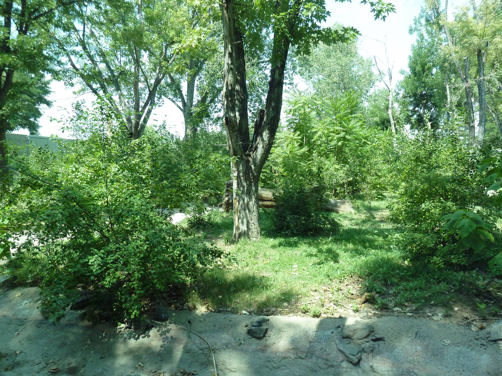 Primate Panorama - 1-Acre Gorilla Exhibit