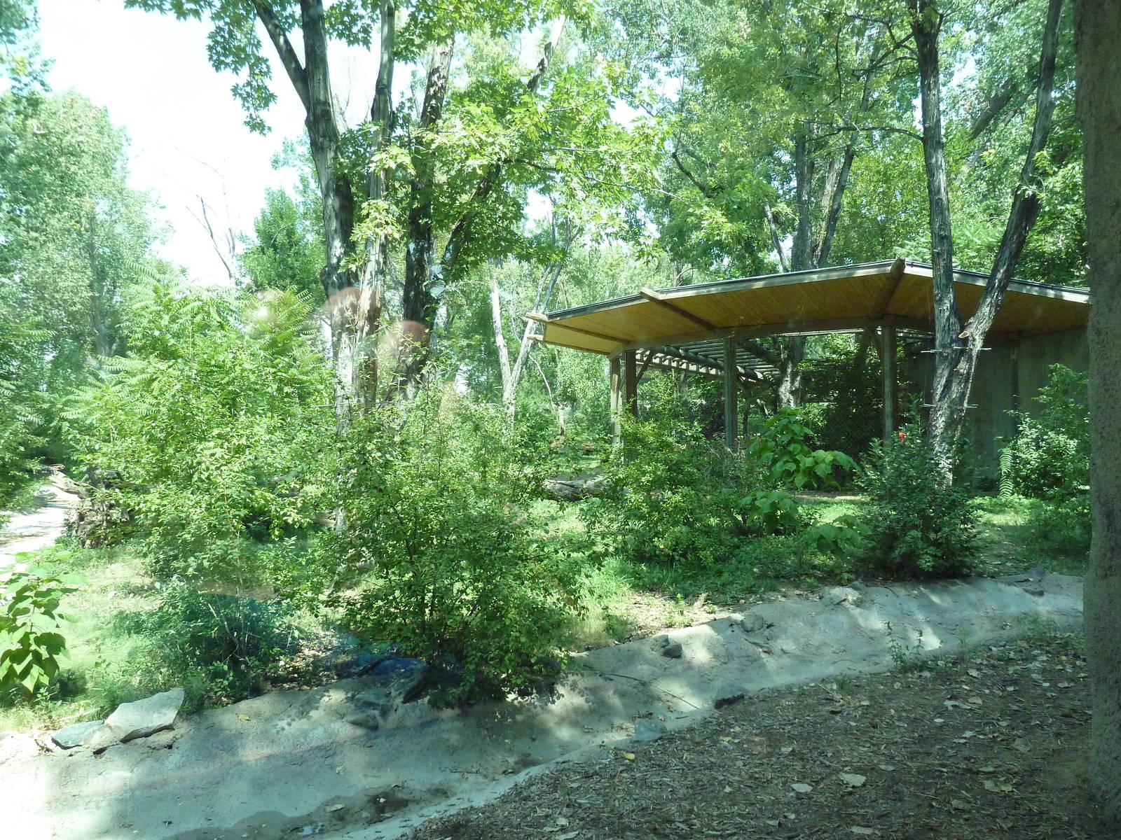 Primate Panorama - 1-Acre Gorilla Exhibit