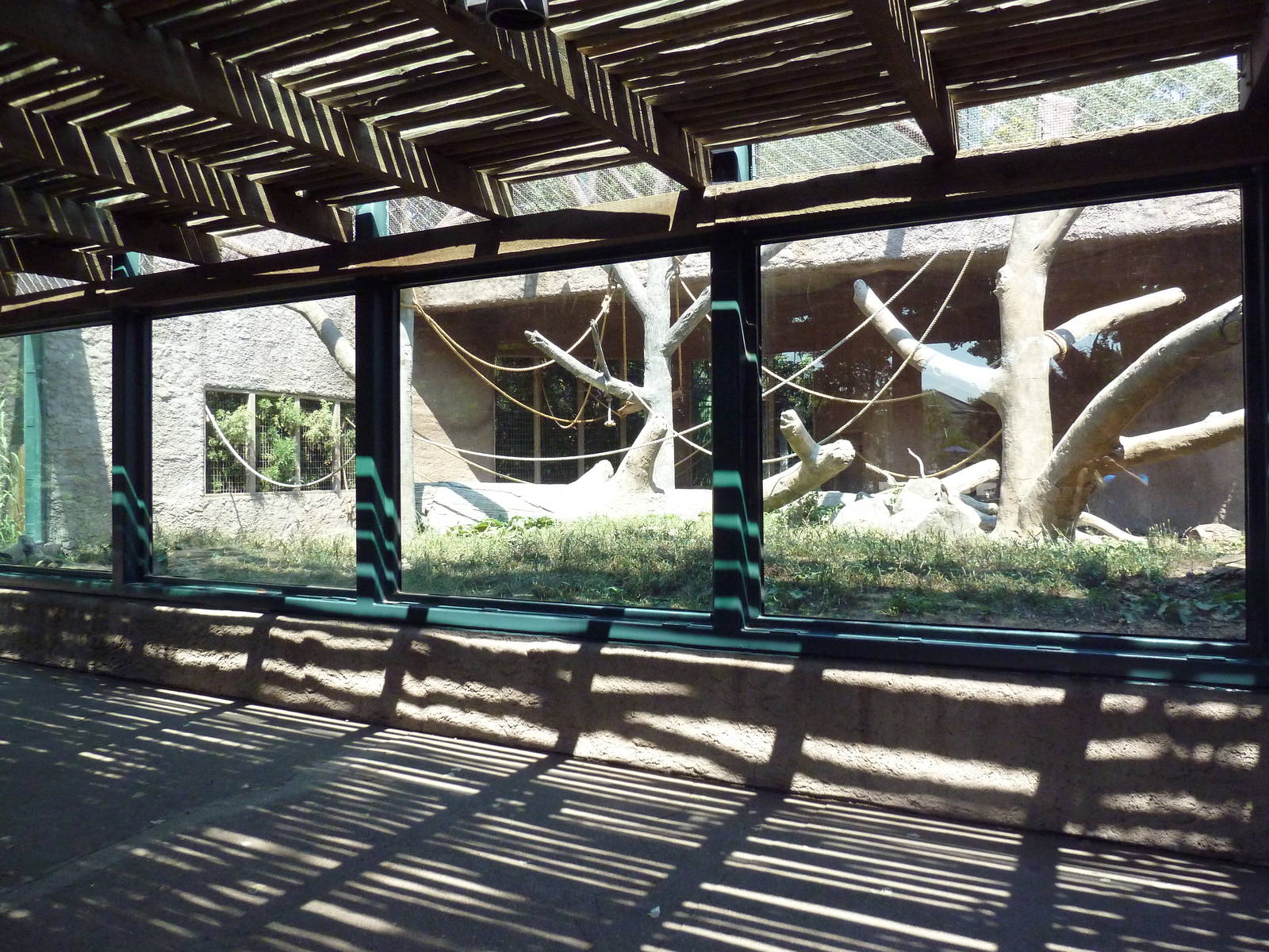 Primate Panorama - Black-Crested Macaque Exhibit