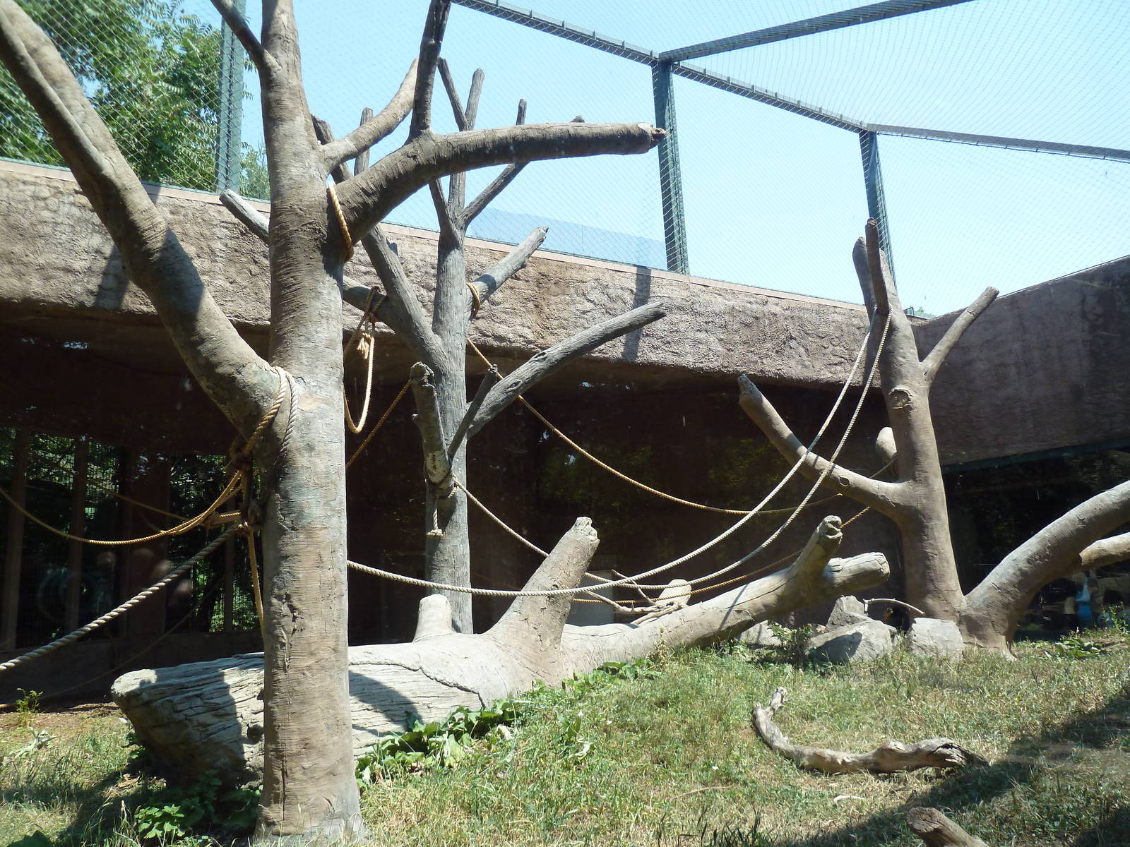 Primate Panorama - Black-Crested Macaque Exhibit