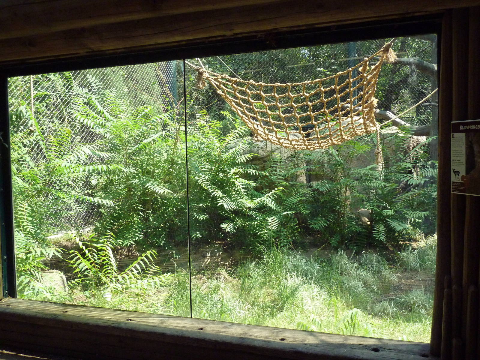 Primate Panorama - Colobus Monkey/Kirk's Dik-Dik Exhibit