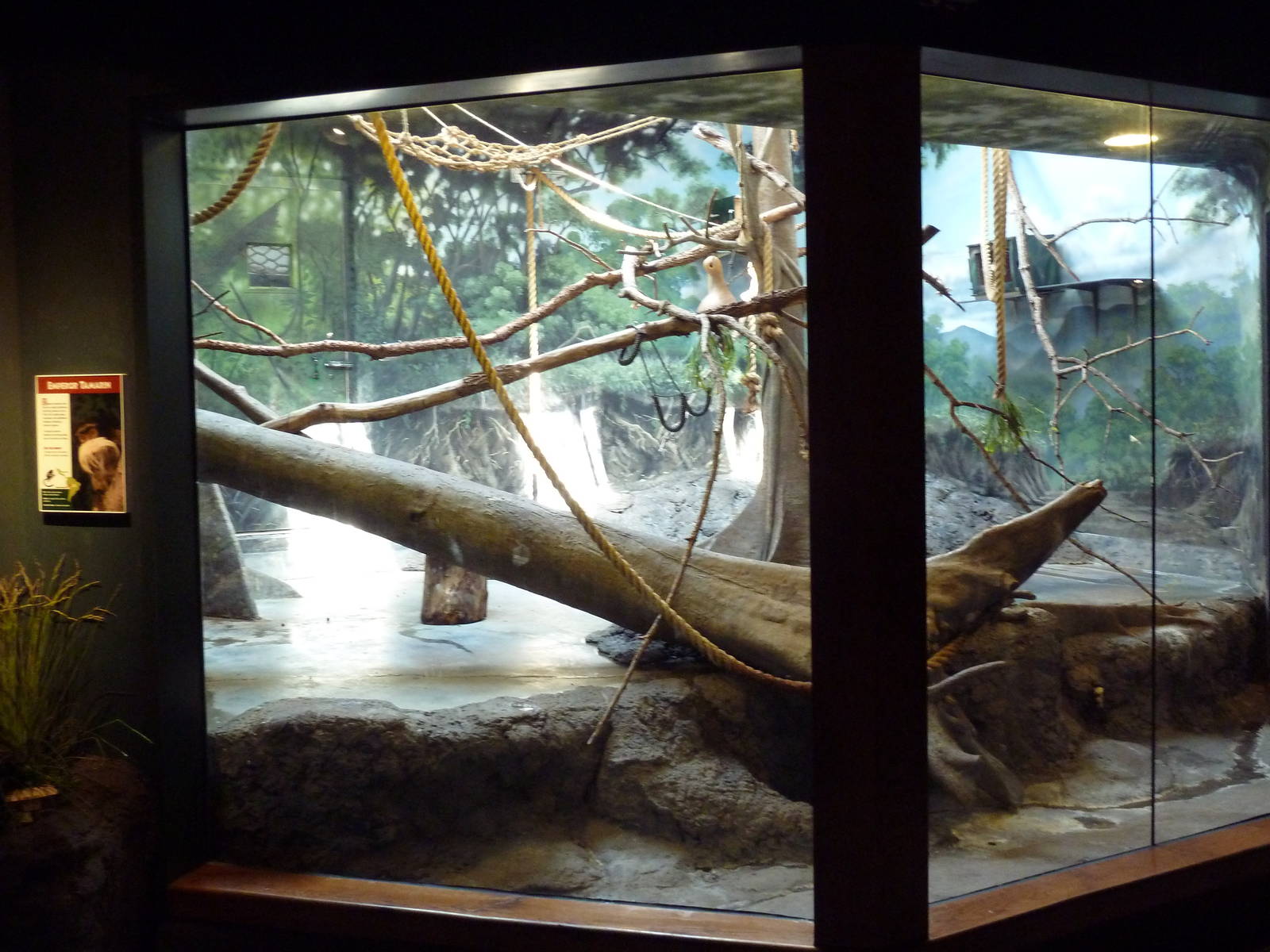 Primate Panorama - Emperor Tamarin Exhibit