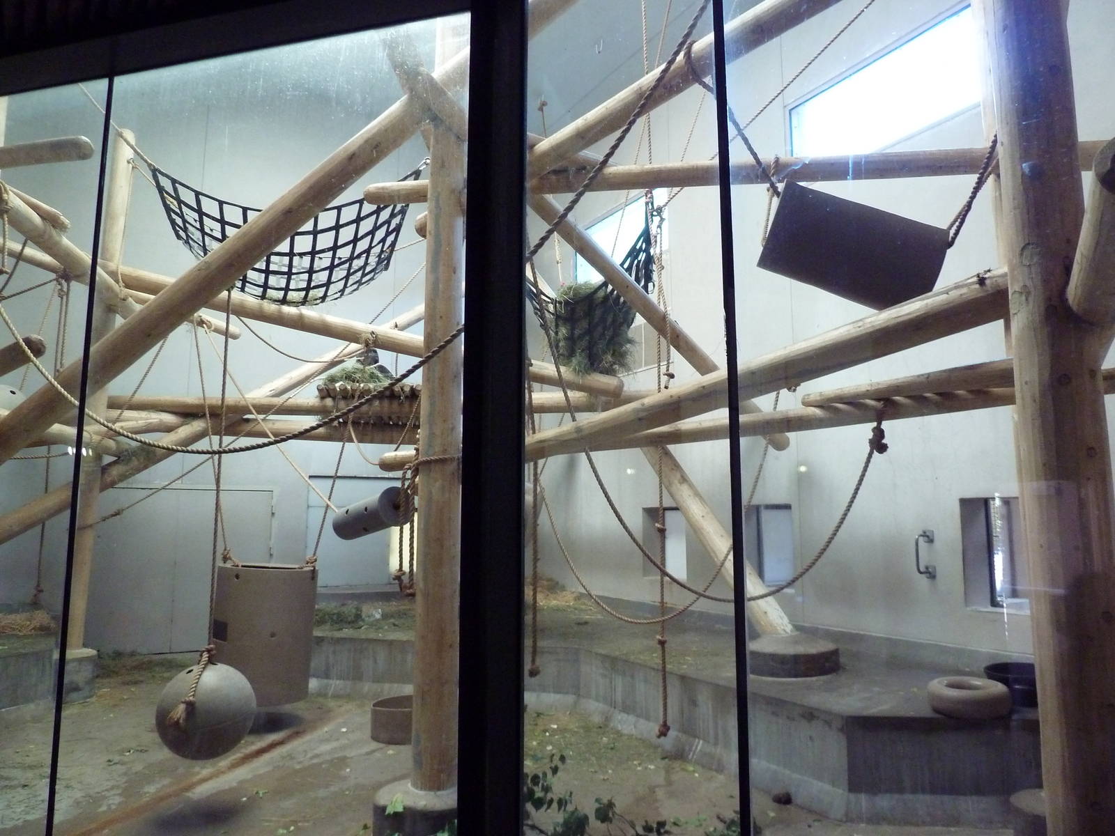 Primate Panorama - Gorilla Indoor Exhibit