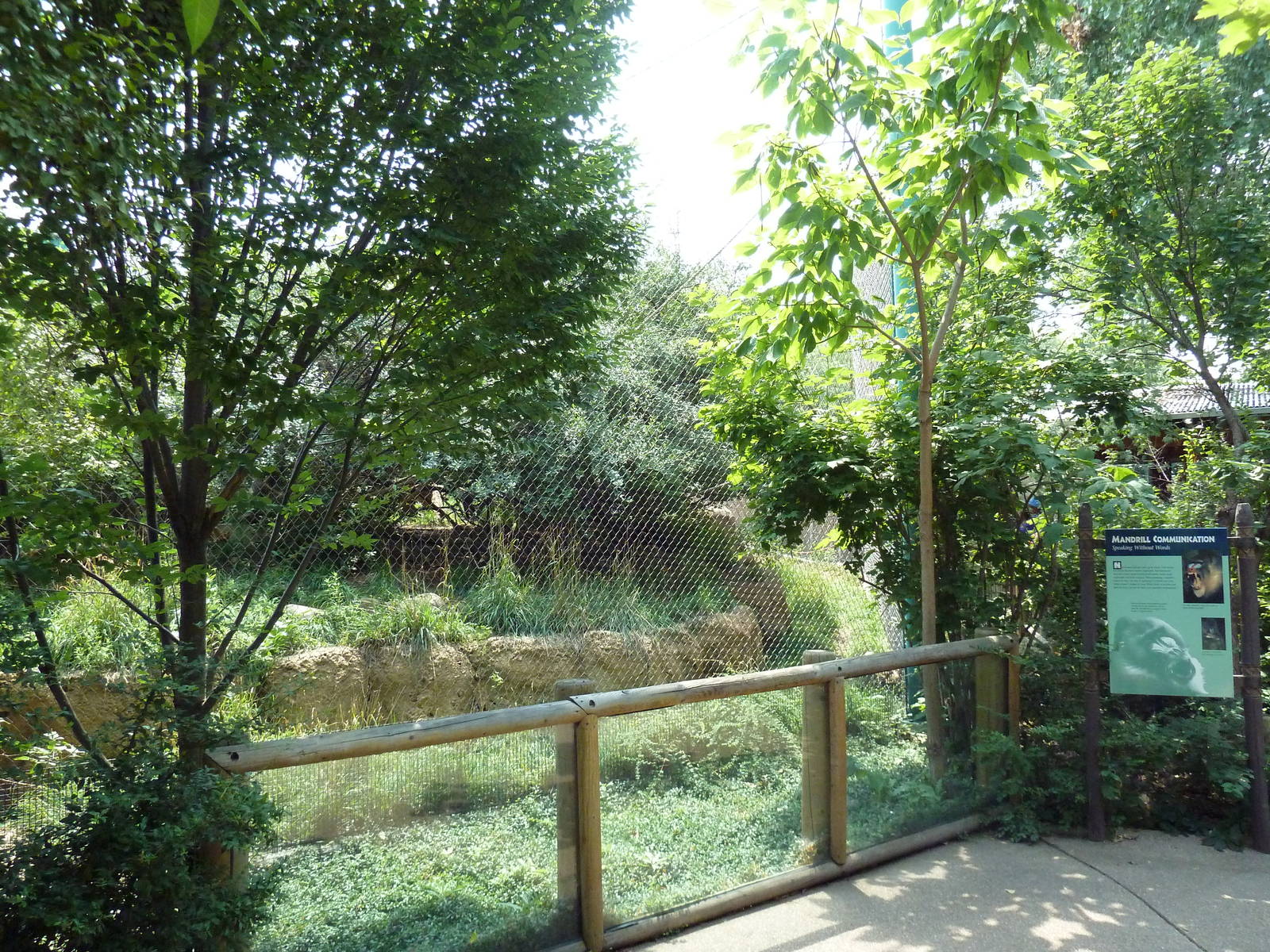 Primate Panorama - Mandrill Exhibit